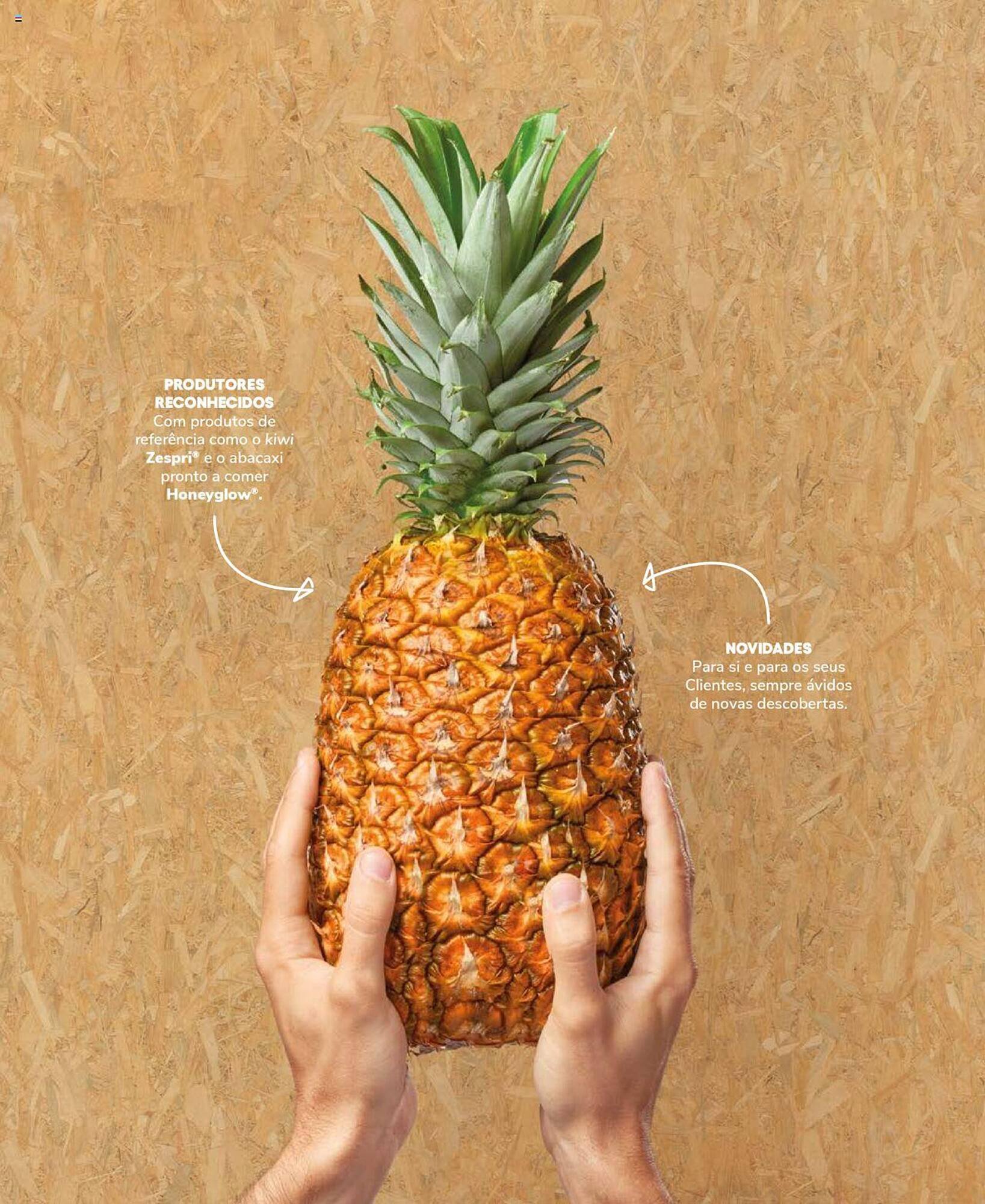 Folheto Recheio (2024-12-19 - 2025-12-31) | 79