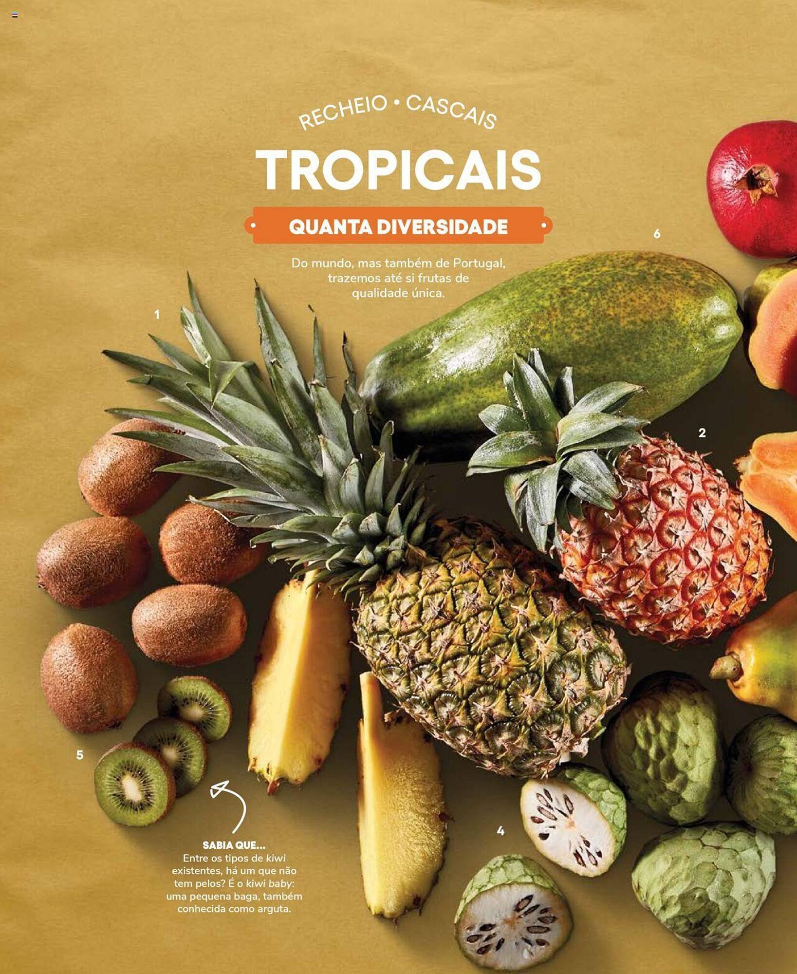 Folheto Recheio (2024-12-19 - 2025-12-31) | 80