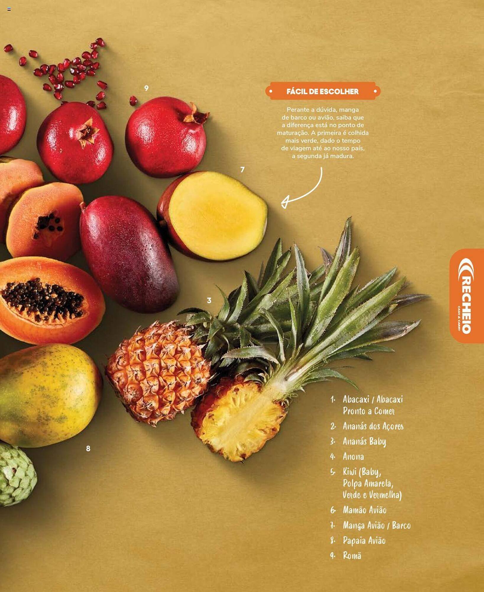 Folheto Recheio (2024-12-19 - 2025-12-31) | 81