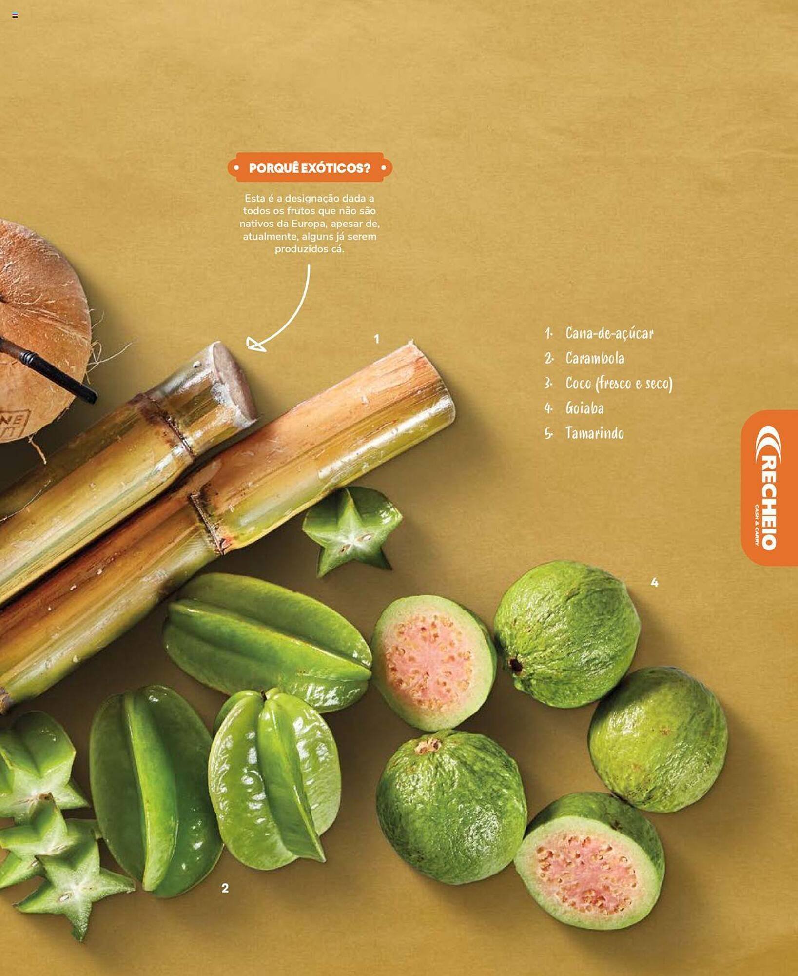 Folheto Recheio (2024-12-19 - 2025-12-31) | 87