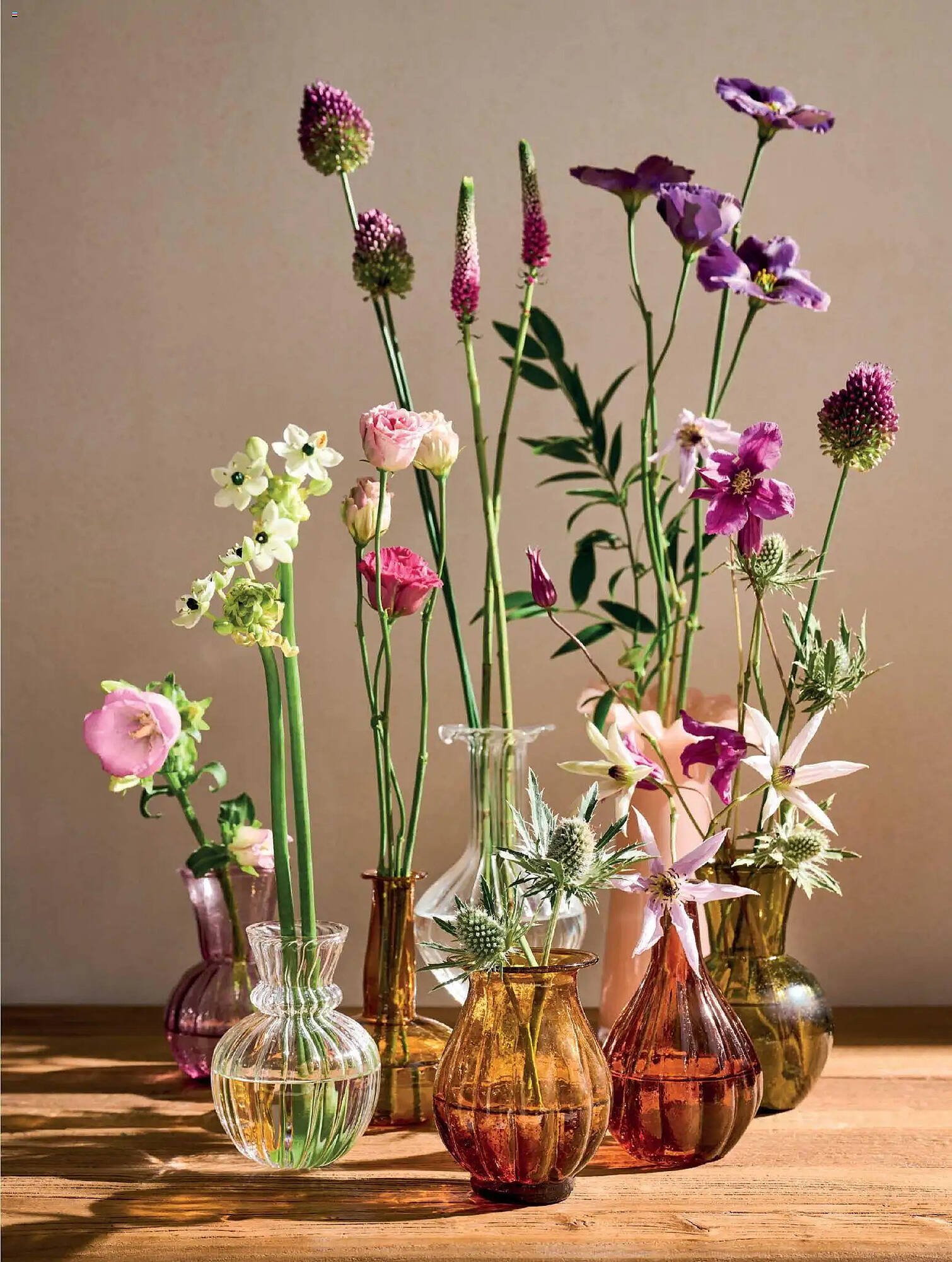 Folheto El Corte Inglés (2026-04-23 - 2026-07-02) | 135