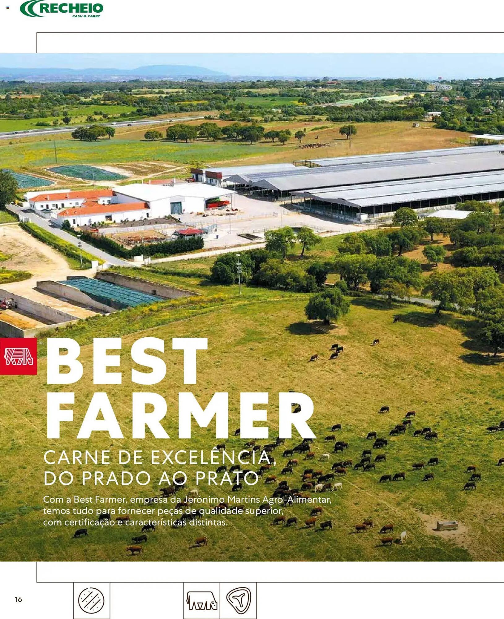 Folheto Recheio (2026-03-16 - 2027-01-01) | 16