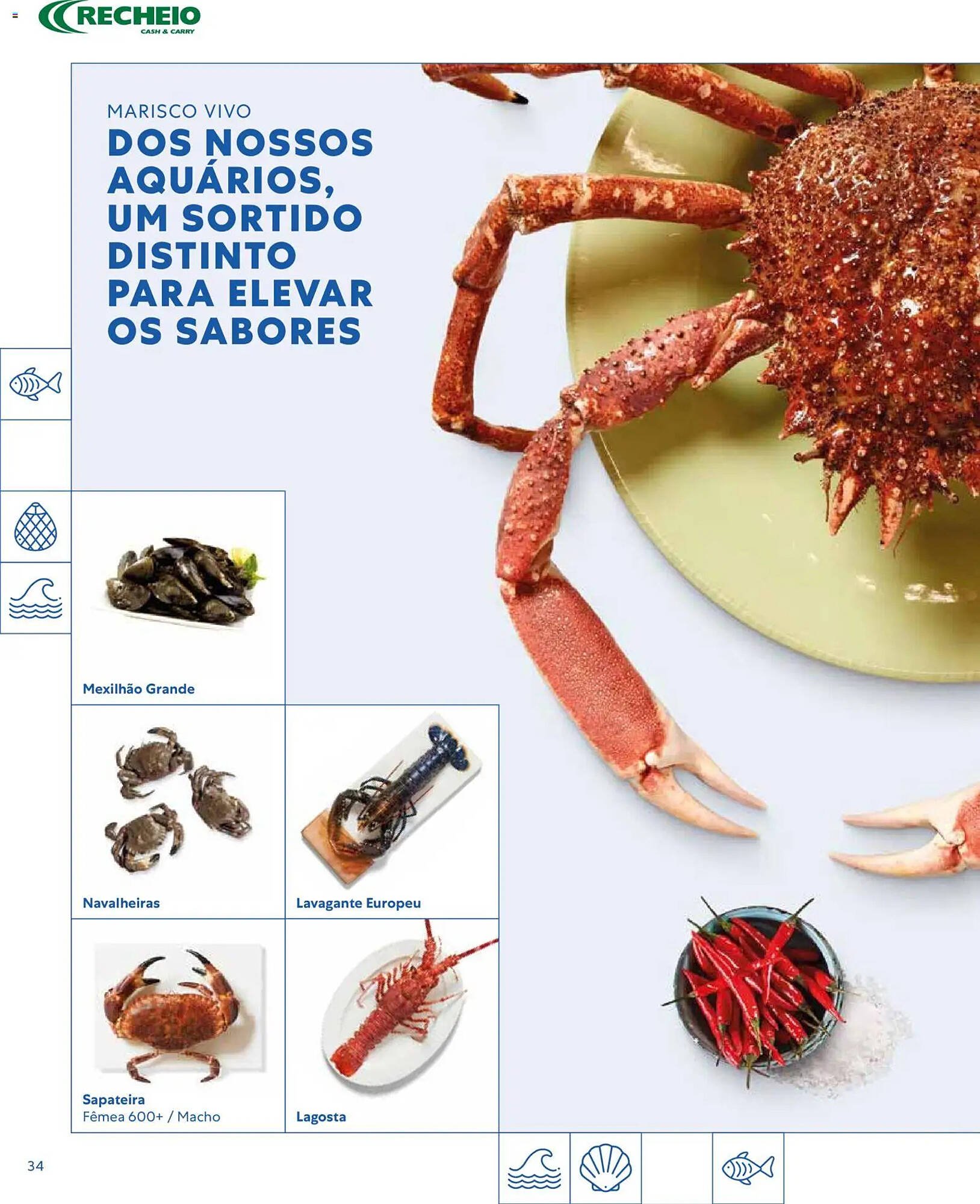 Folheto Recheio (2026-03-16 - 2027-01-01) | 34