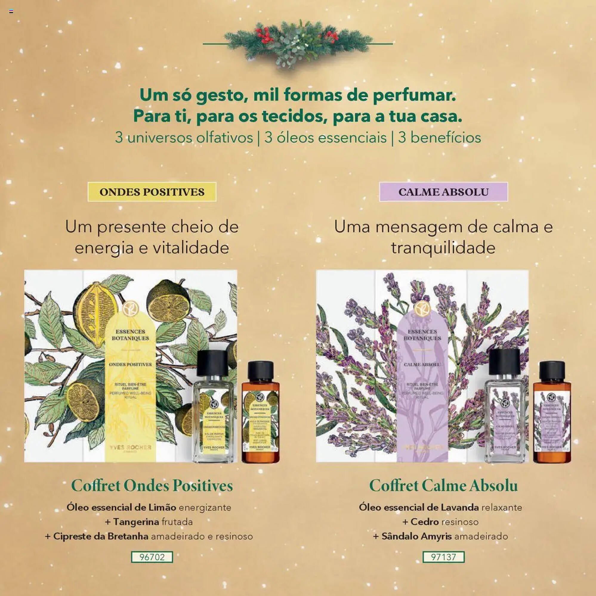 Catálogo Yves Rocher (2025-10-17 - 2025-12-24) | 50