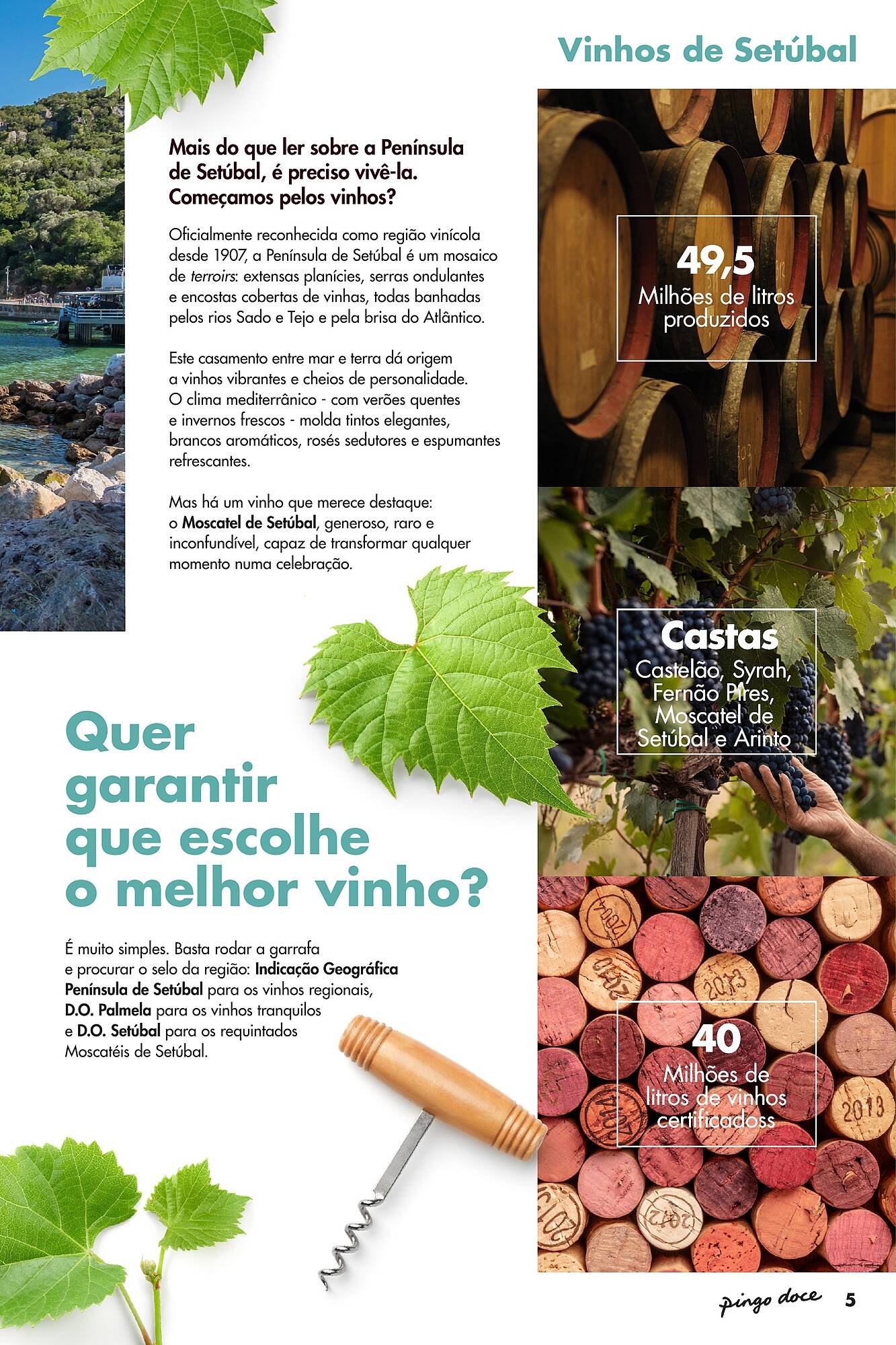 Folheto Pingo Doce (2026-05-05 - 2026-05-25) | 5