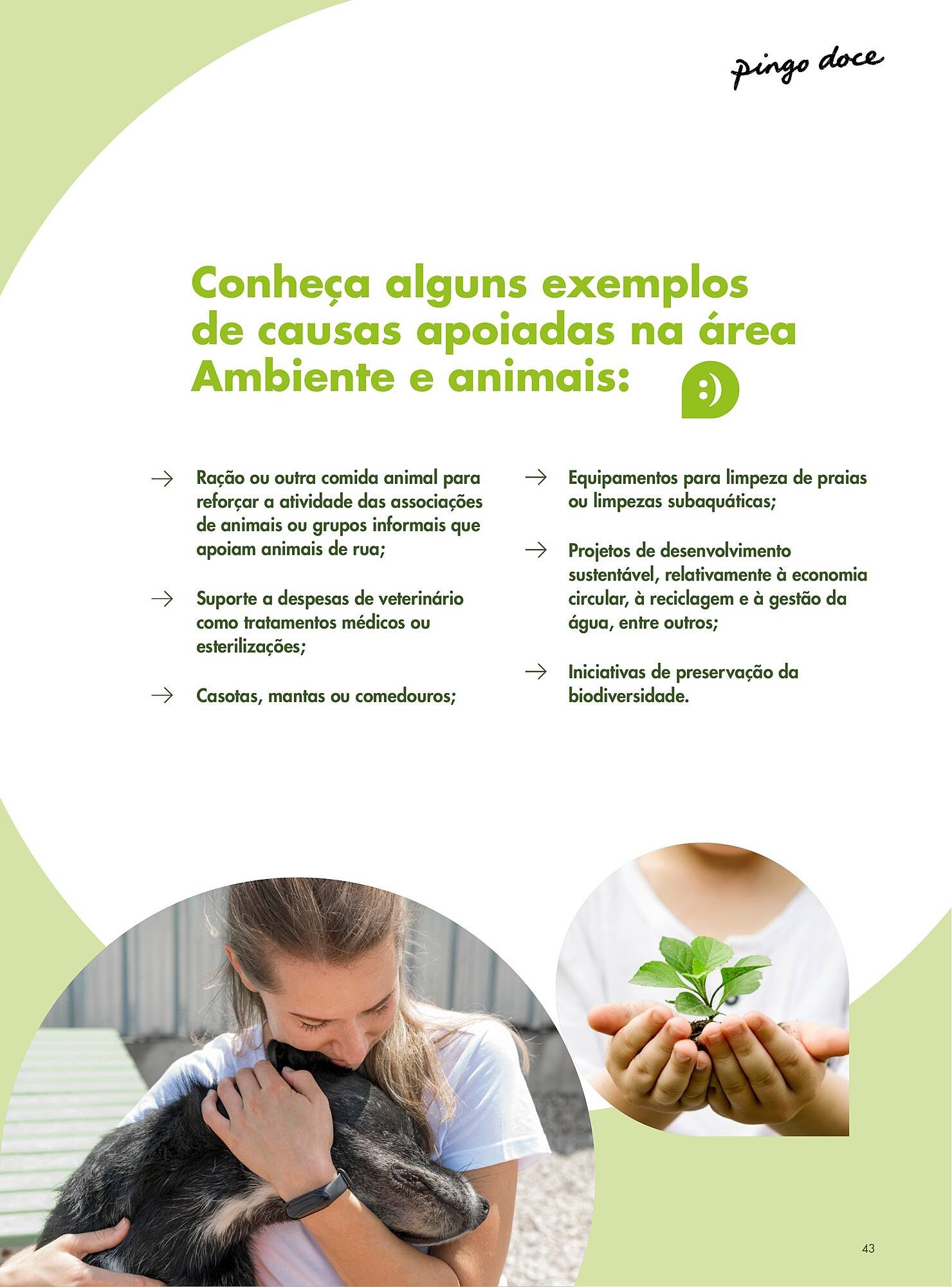 Folheto Pingo Doce (2025-12-08 - 2025-12-31) | 41