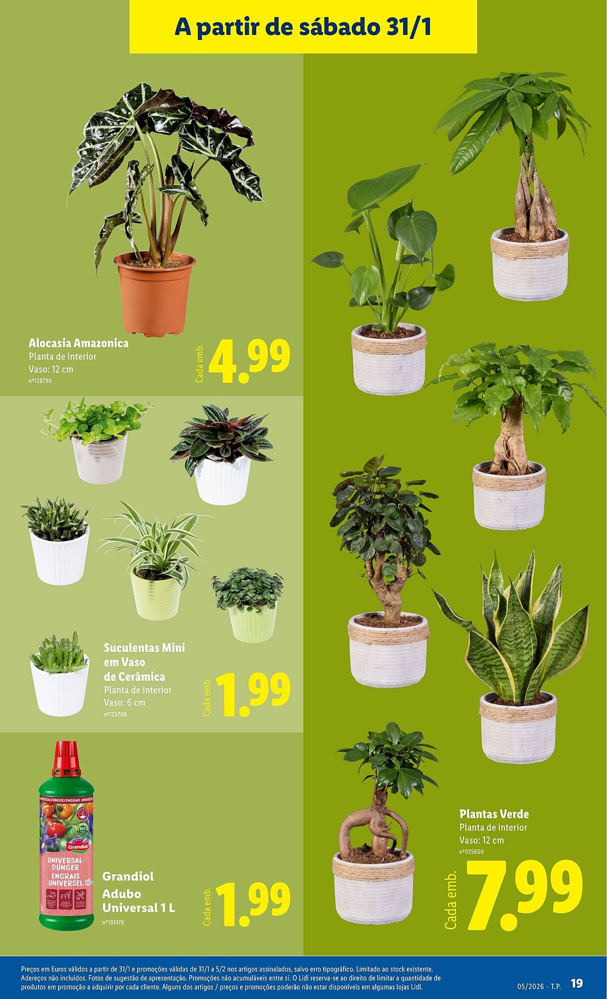 Folheto Lidl (2026-01-26 - 2026-02-01) | 19