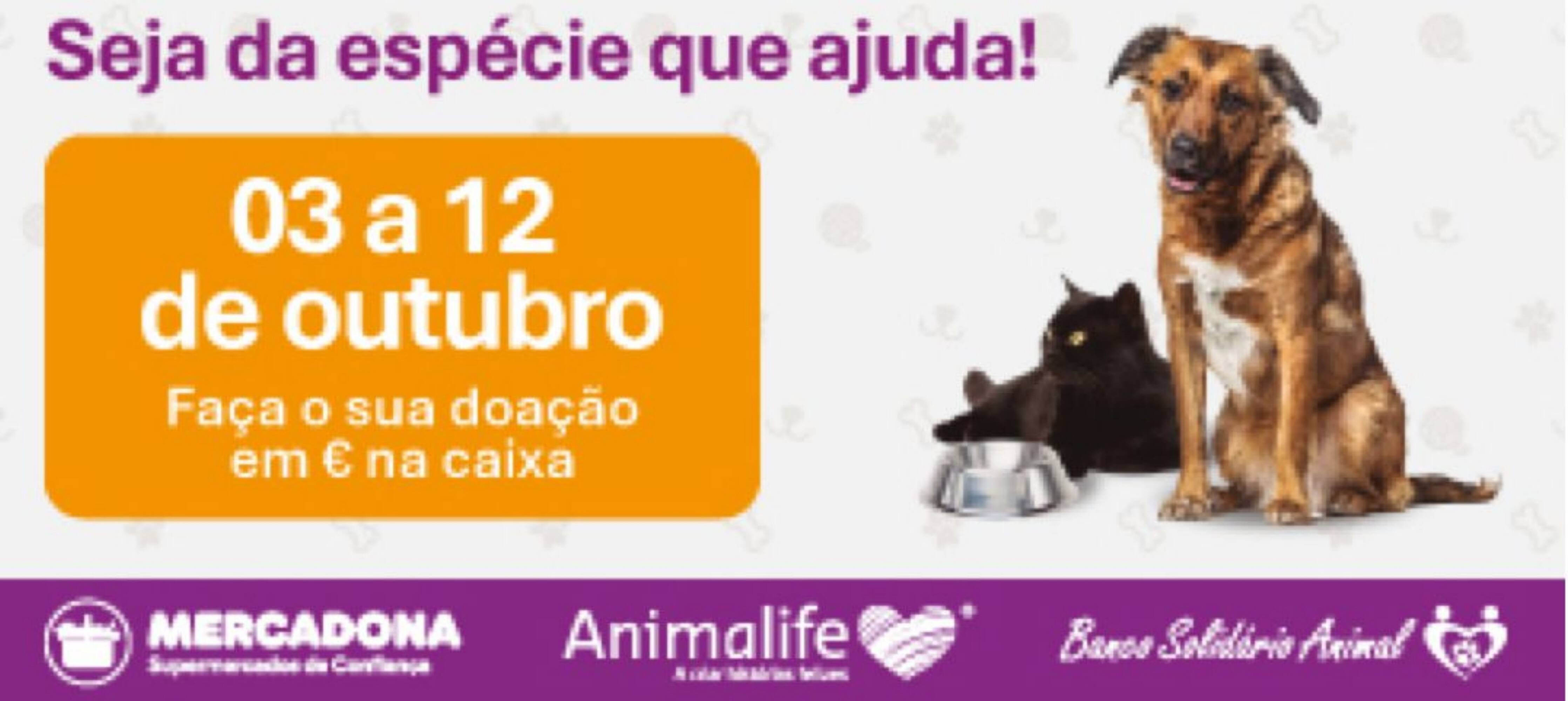 Folheto Mercadona (2025-10-09 - 2025-10-12) | 1