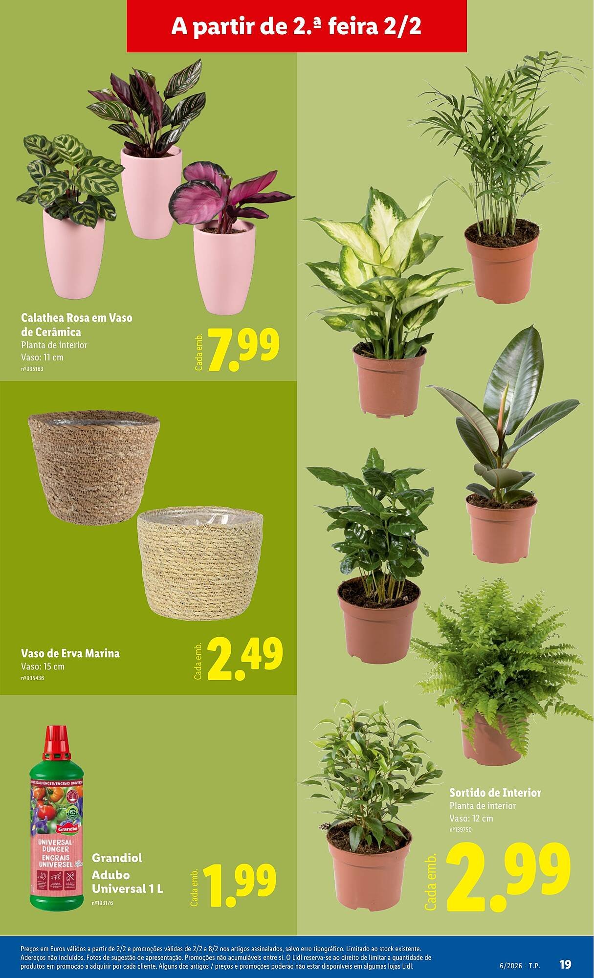 Folheto Lidl (2026-02-02 - 2026-02-08)