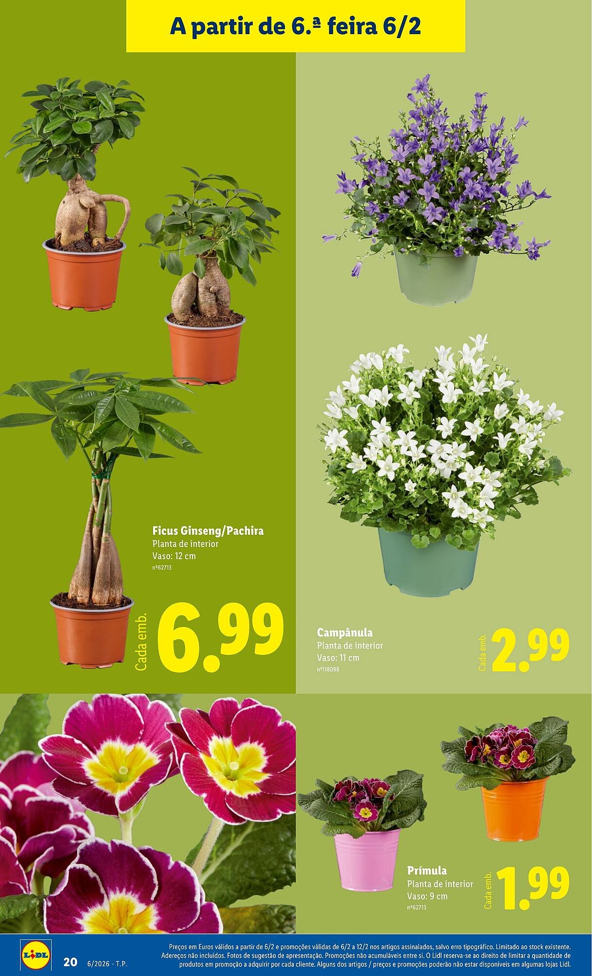 Folheto Lidl (2026-02-02 - 2026-02-08)