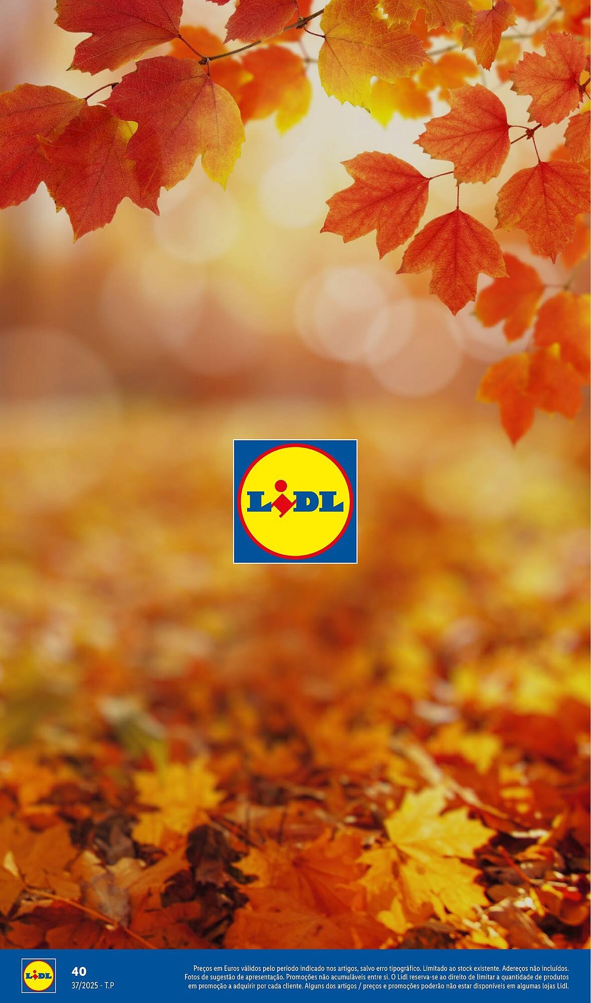 Folheto Lidl (2025-09-08 - 2025-12-01) | 40