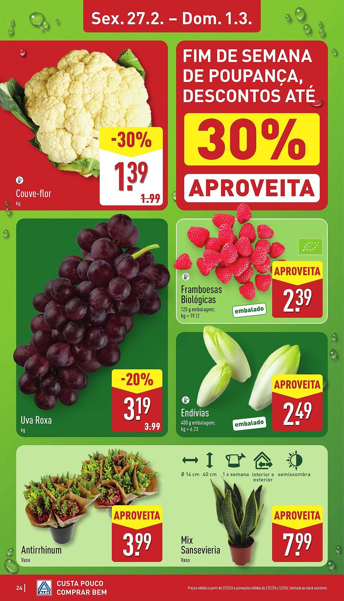 Folheto ALDI (2026-02-23 - 2026-03-01) | 24