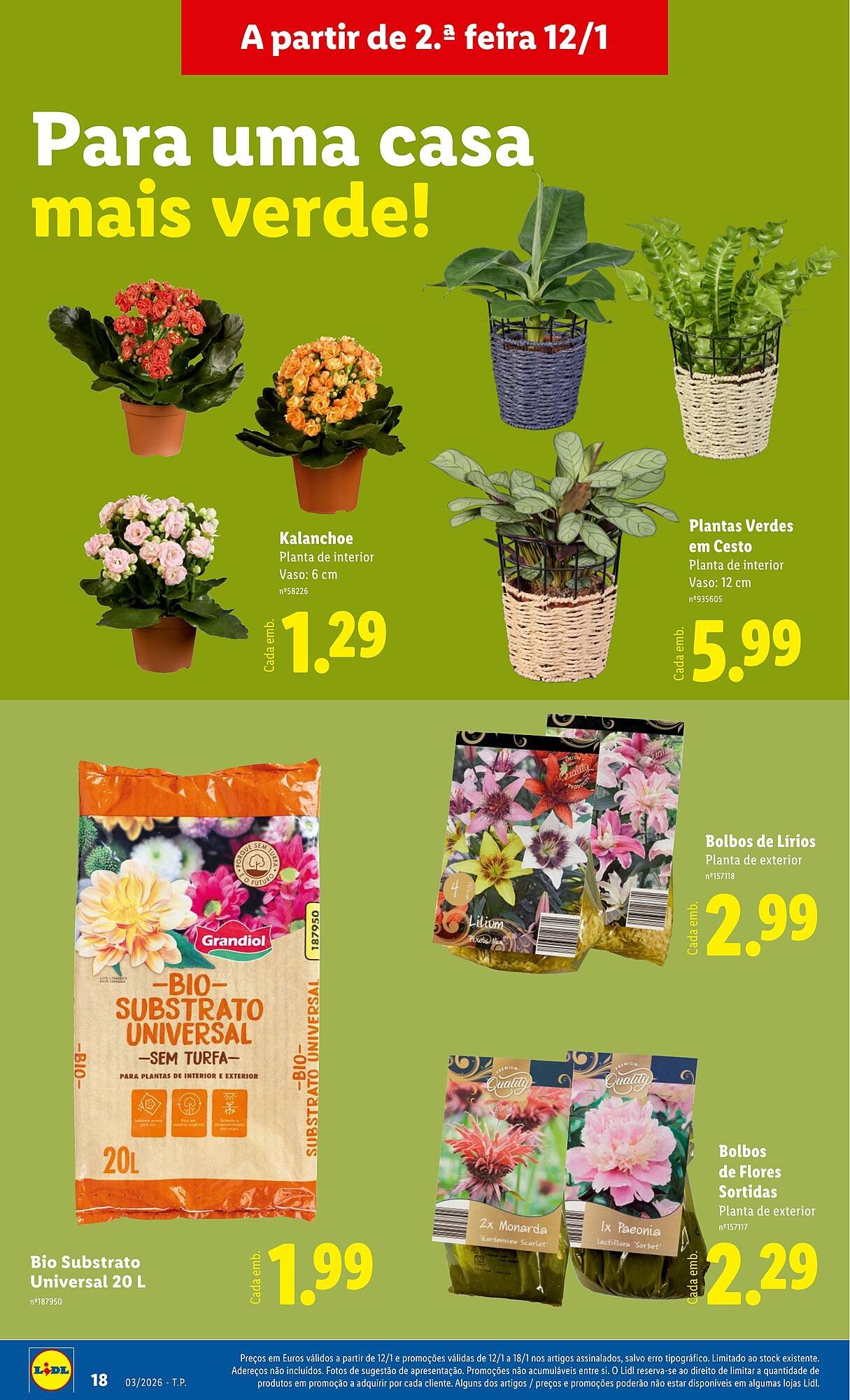 Folheto Lidl (2026-01-12 - 2026-01-18) | 18