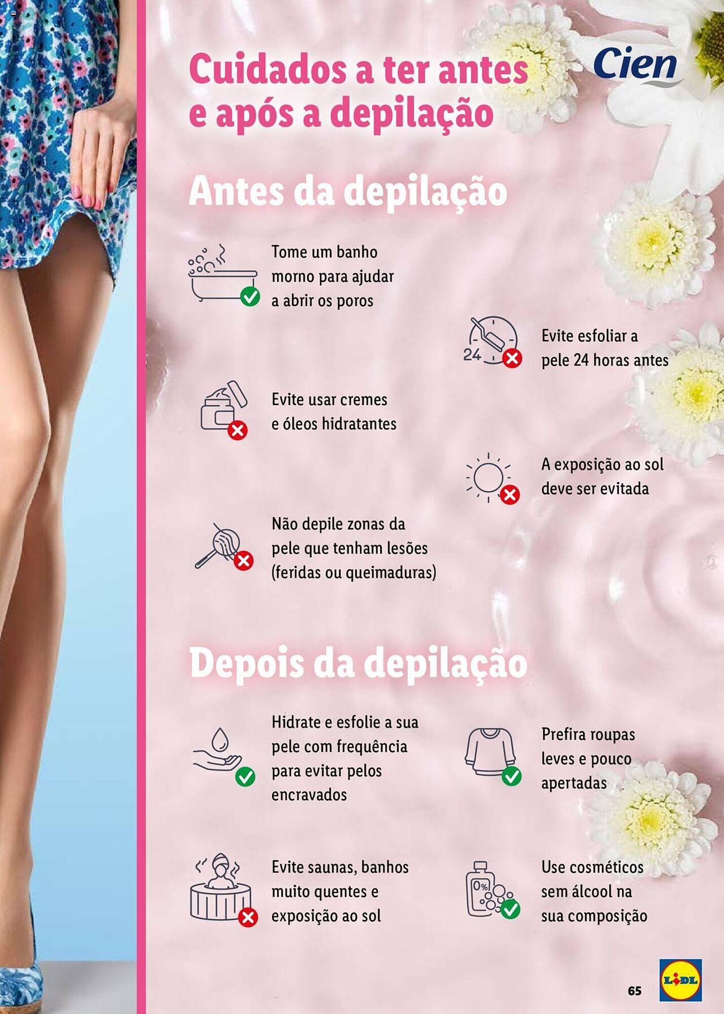 Folheto Lidl (2024-12-26 - 2026-01-01) | 65