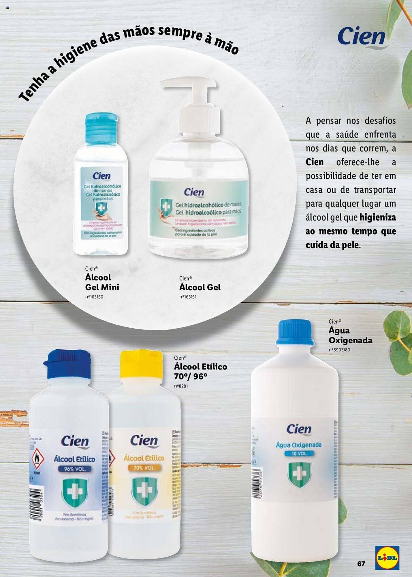 Folheto Lidl (2024-12-26 - 2026-01-01) | 67