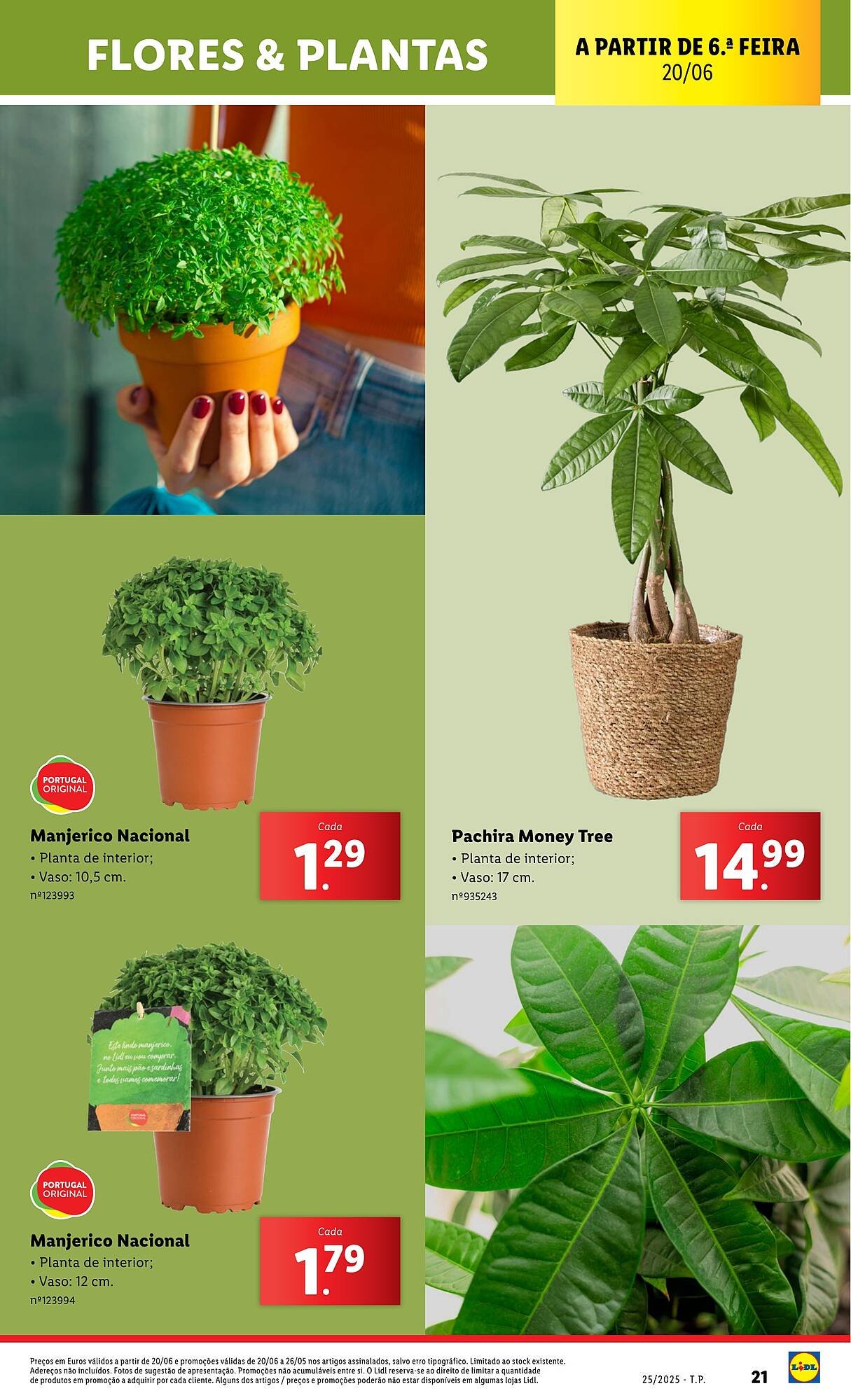 Folheto Lidl (2025-06-22 - 2025-12-16) | 21