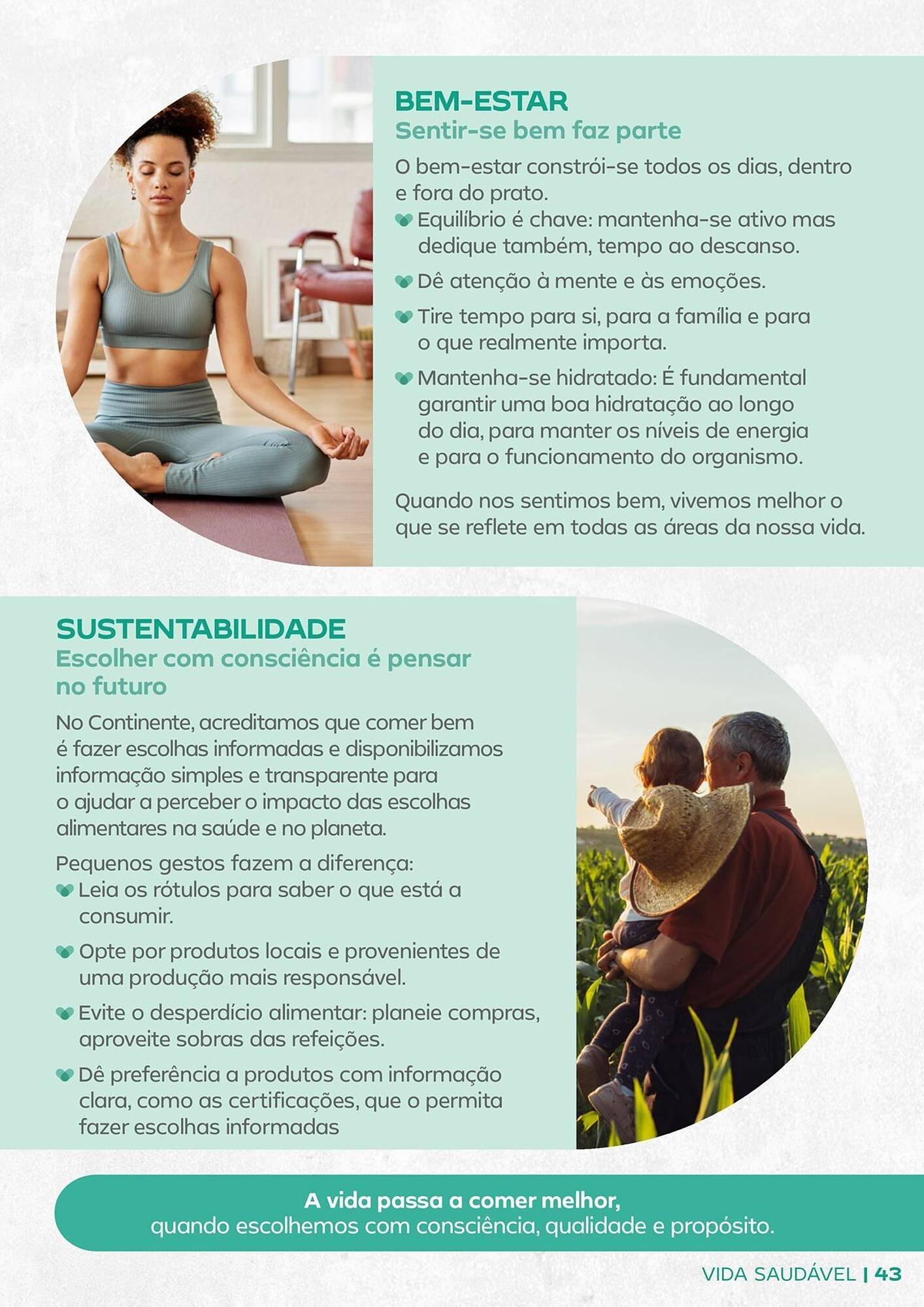 Folheto Continente (2026-01-20 - 2026-02-01) | 43