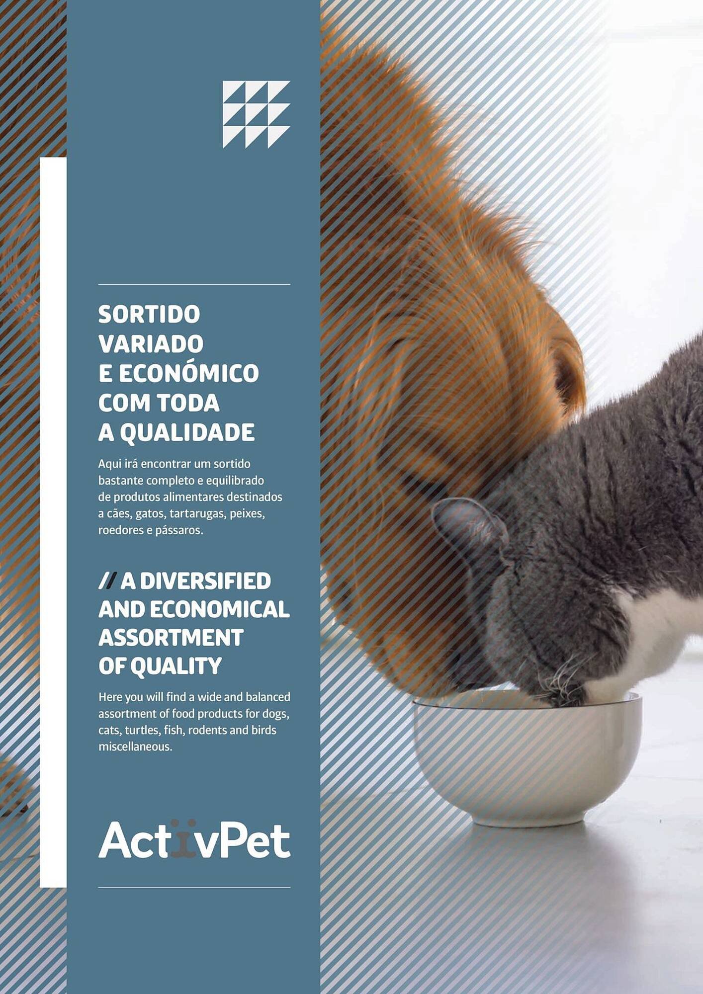 Folheto Recheio (2025-12-17 - 2026-02-07) | 180