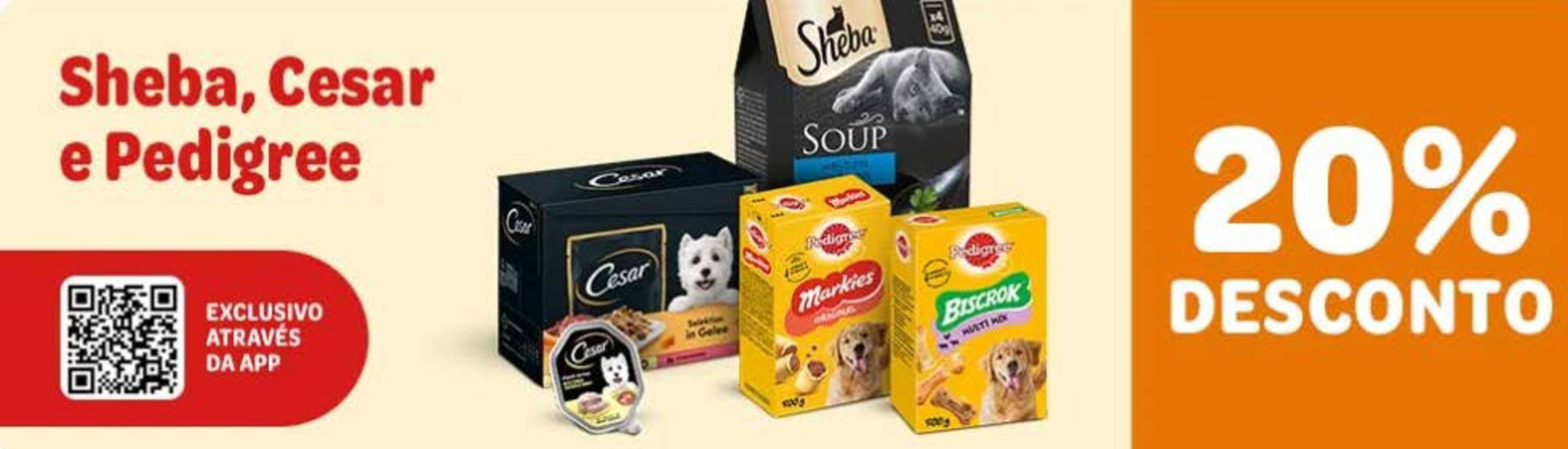 Folheto Zooplus (2025-09-16 - 2025-09-22) | 1