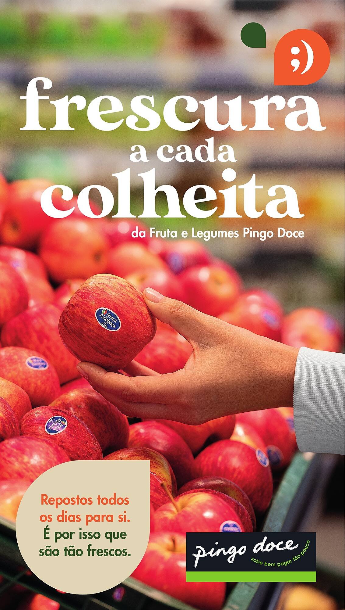 Folheto Pingo Doce (2025-12-20 - 2026-01-01) | 1