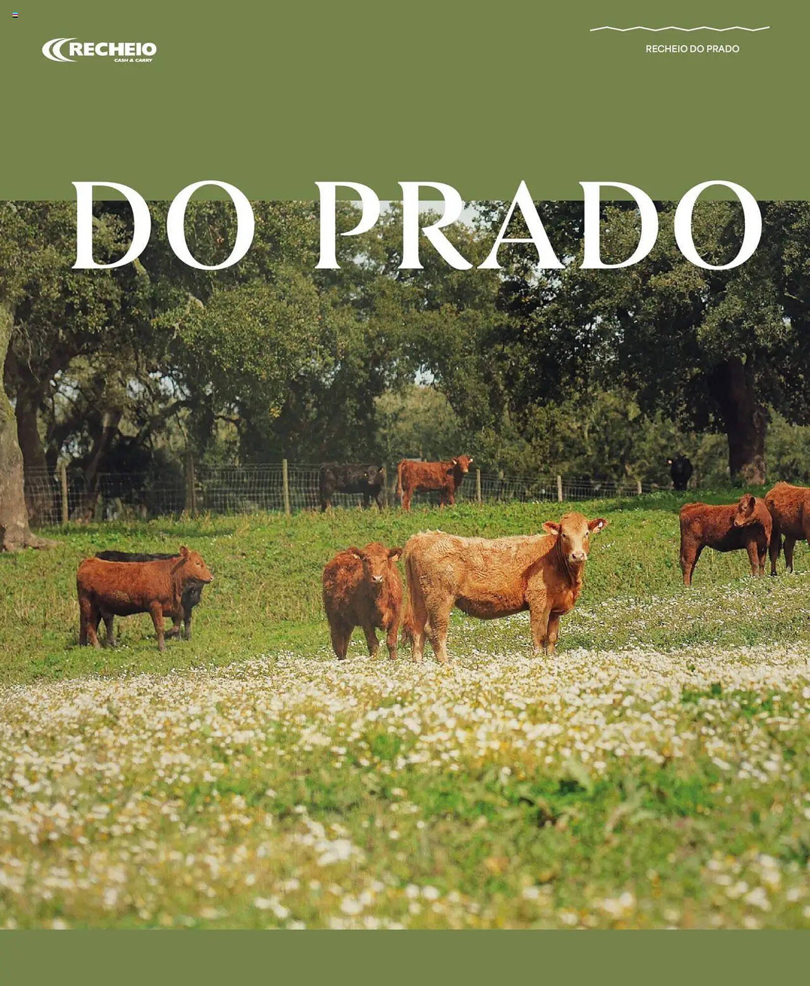 Folheto Recheio (2025-12-24 - 2025-12-31) | 6