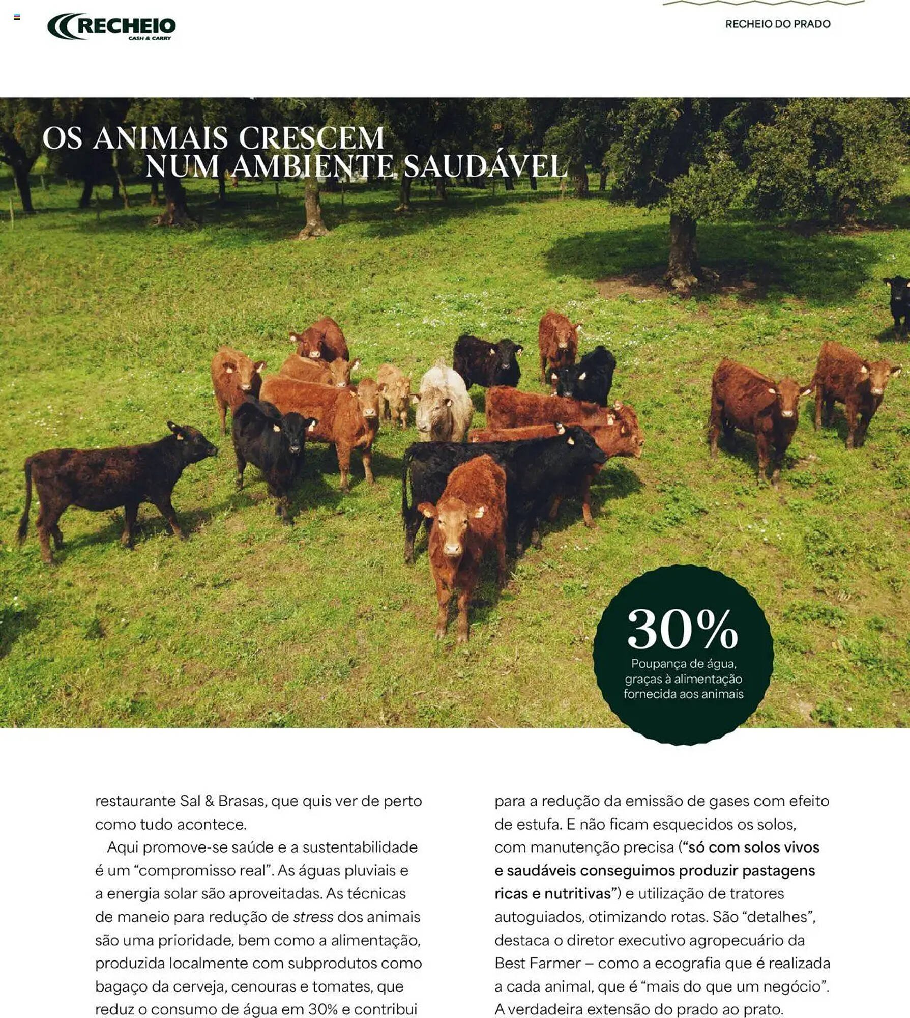 Folheto Recheio (2025-12-24 - 2025-12-31) | 10