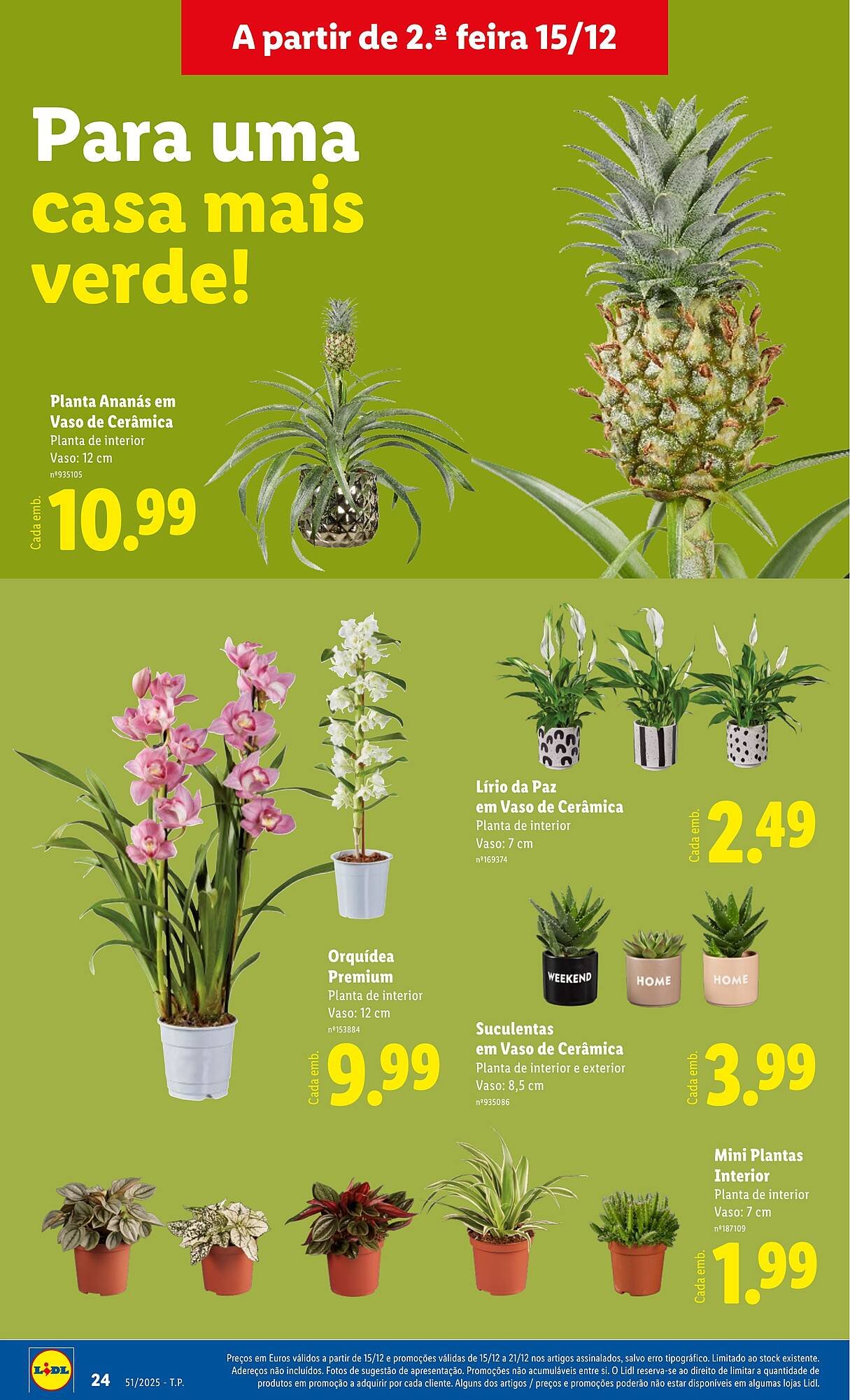 Folheto Lidl (2025-12-15 - 2025-12-21) | 24