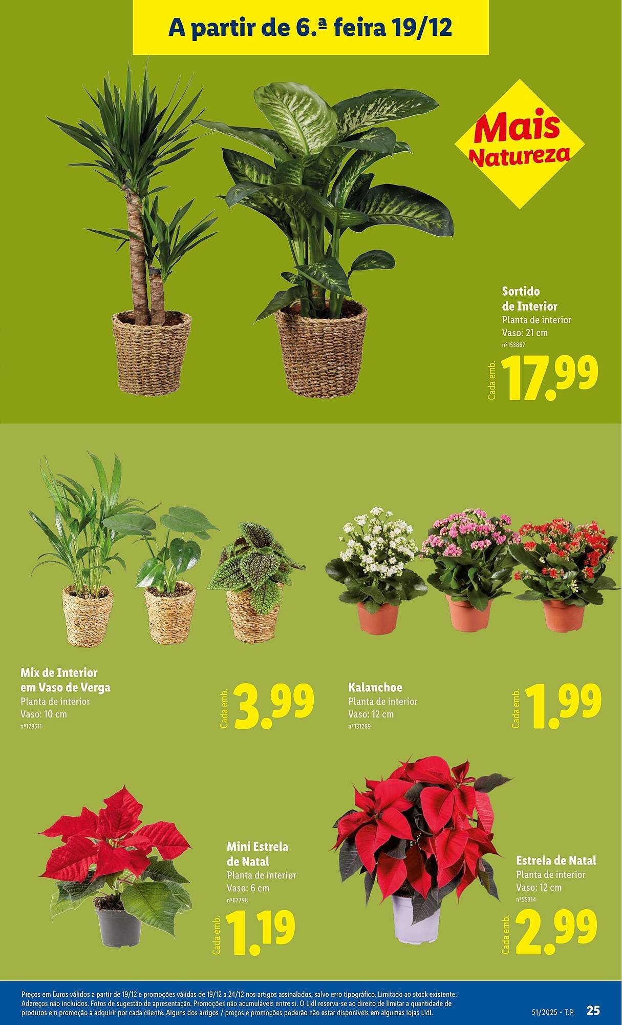 Folheto Lidl (2025-12-15 - 2025-12-21) | 25