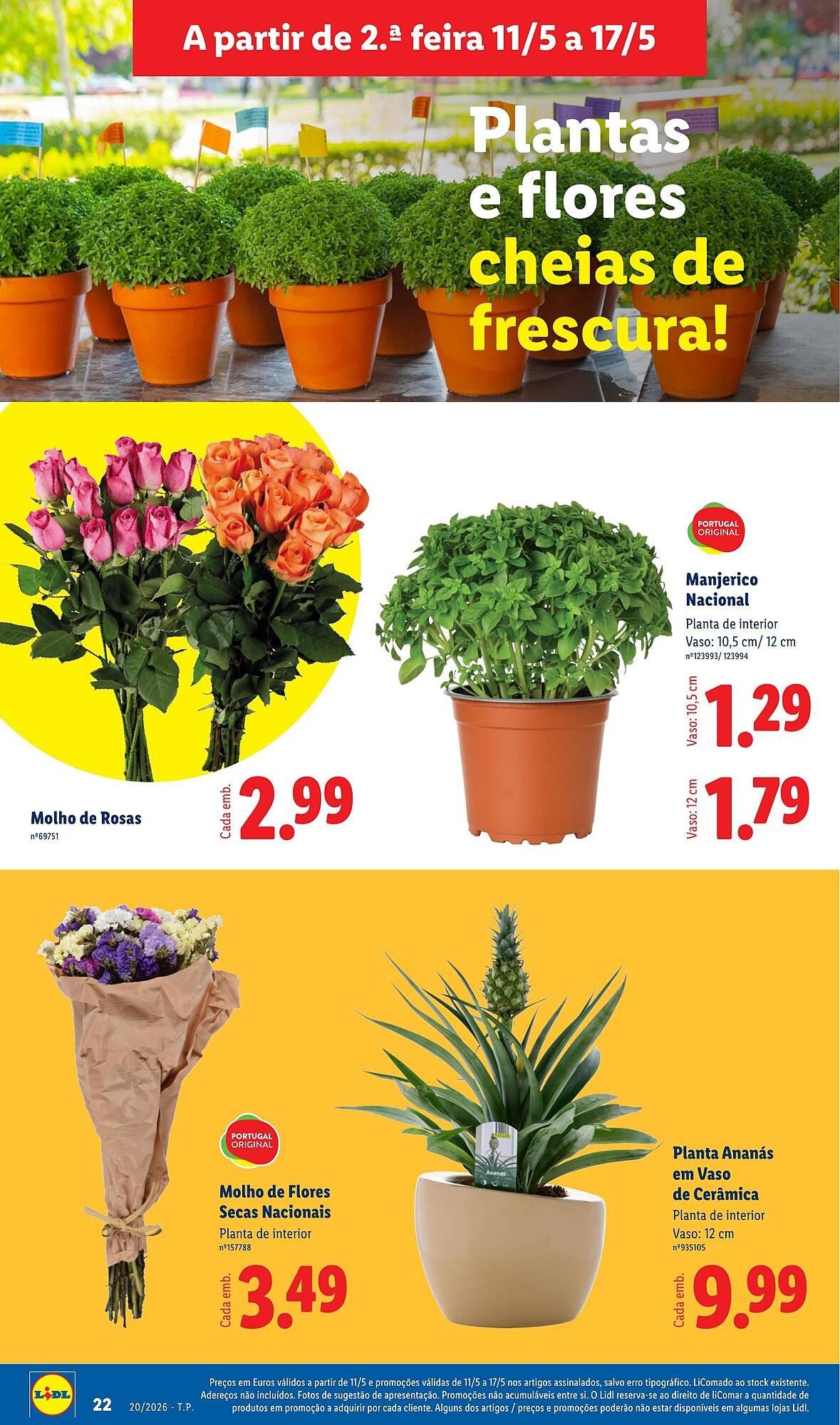 Folheto Lidl (2026-05-11 - 2026-05-17) | 22