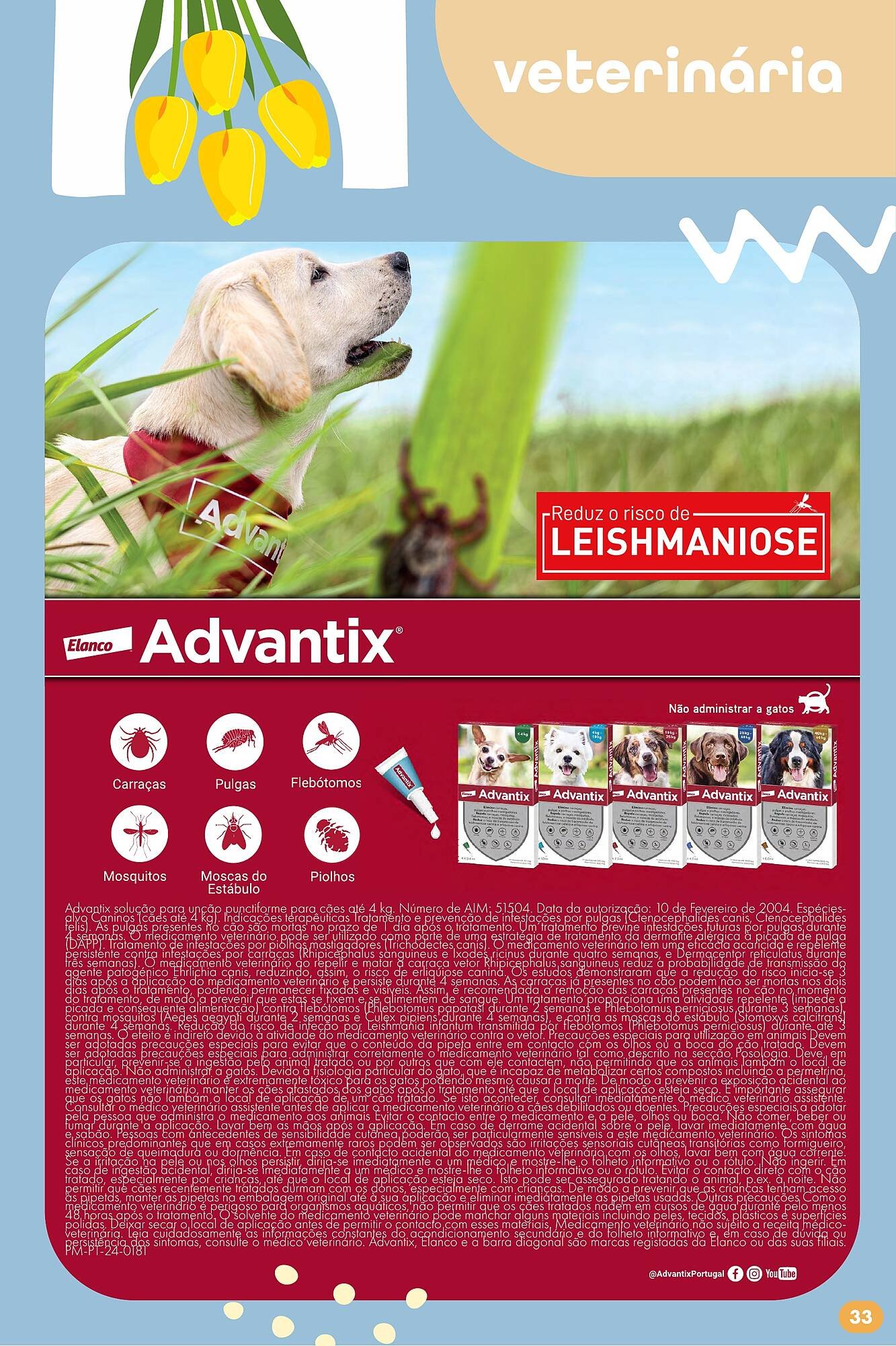 Folheto Pingo Doce (2025-06-16 - 2025-12-20) | 33