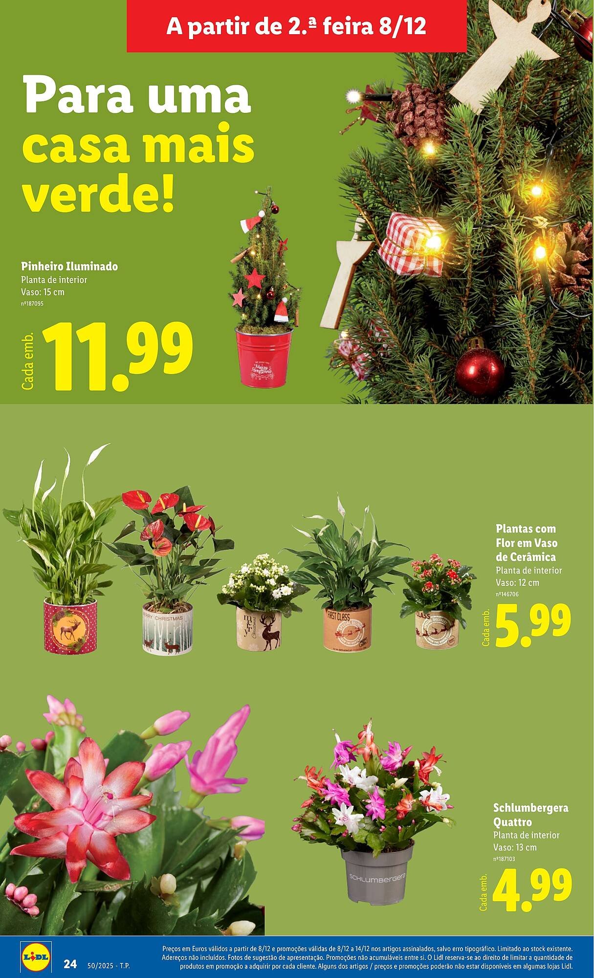 Folheto Lidl (2025-12-08 - 2025-12-14) | 24