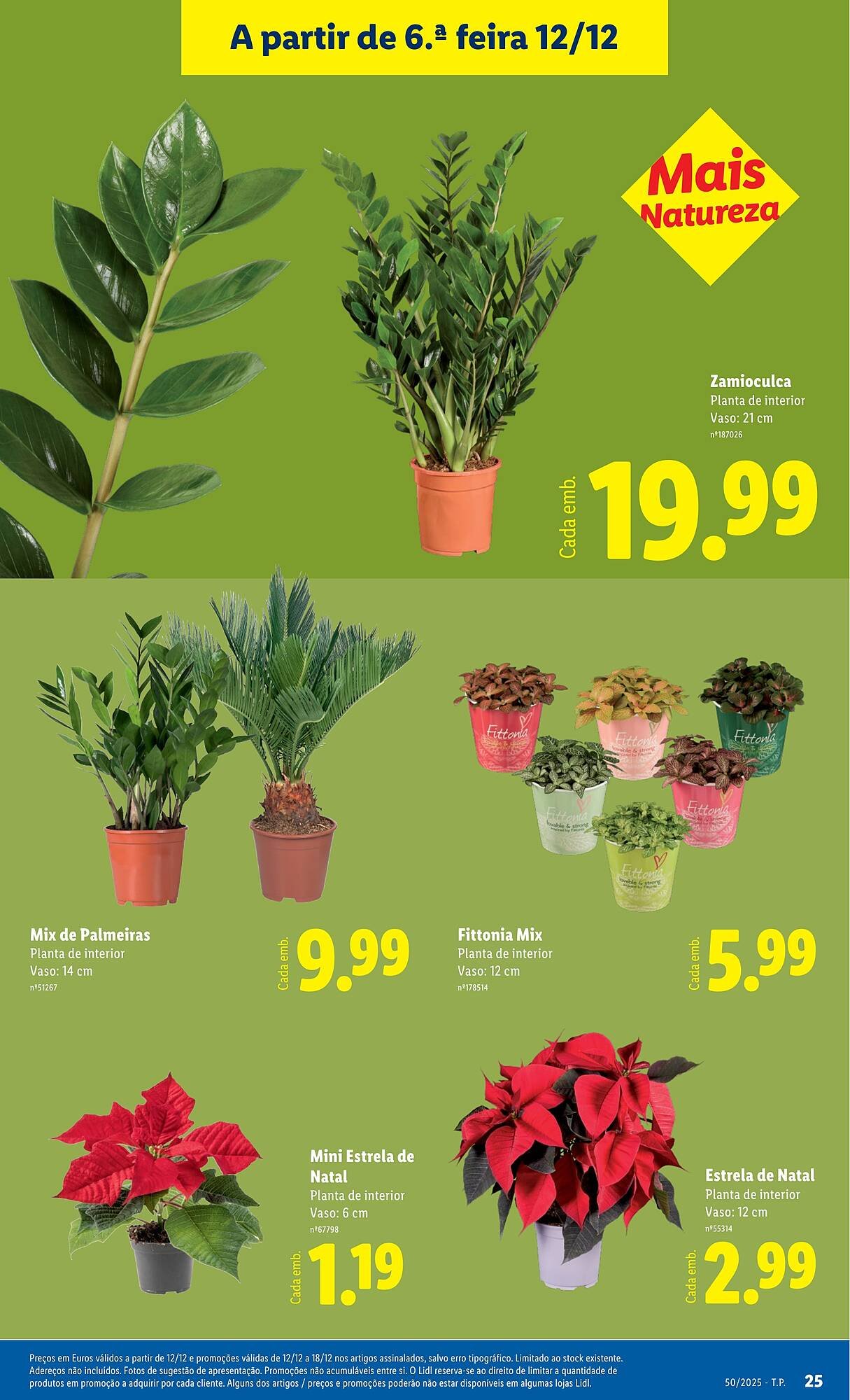 Folheto Lidl (2025-12-08 - 2025-12-14) | 25