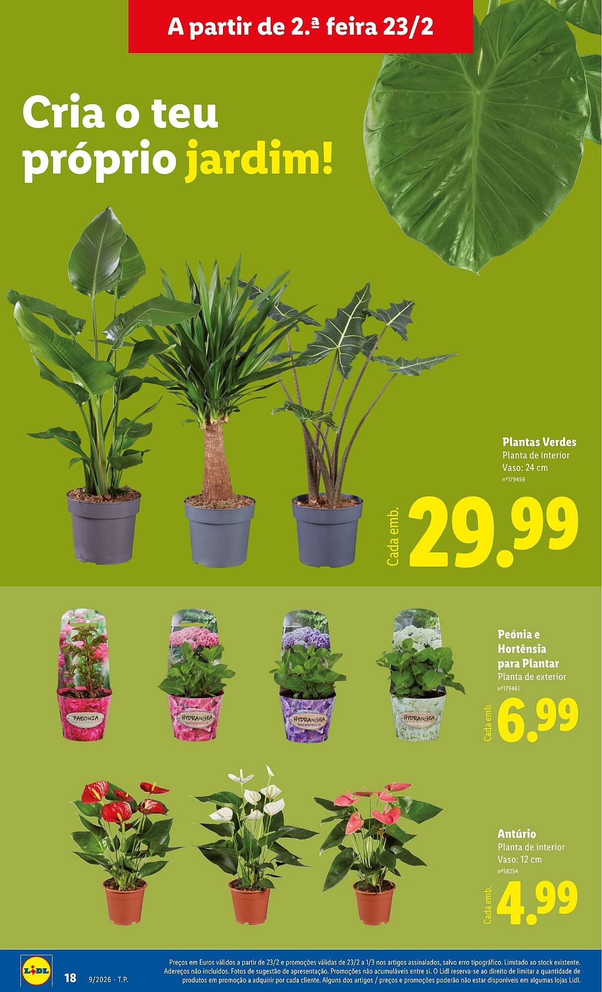 Folheto Lidl (2026-02-23 - 2026-03-01) | 18