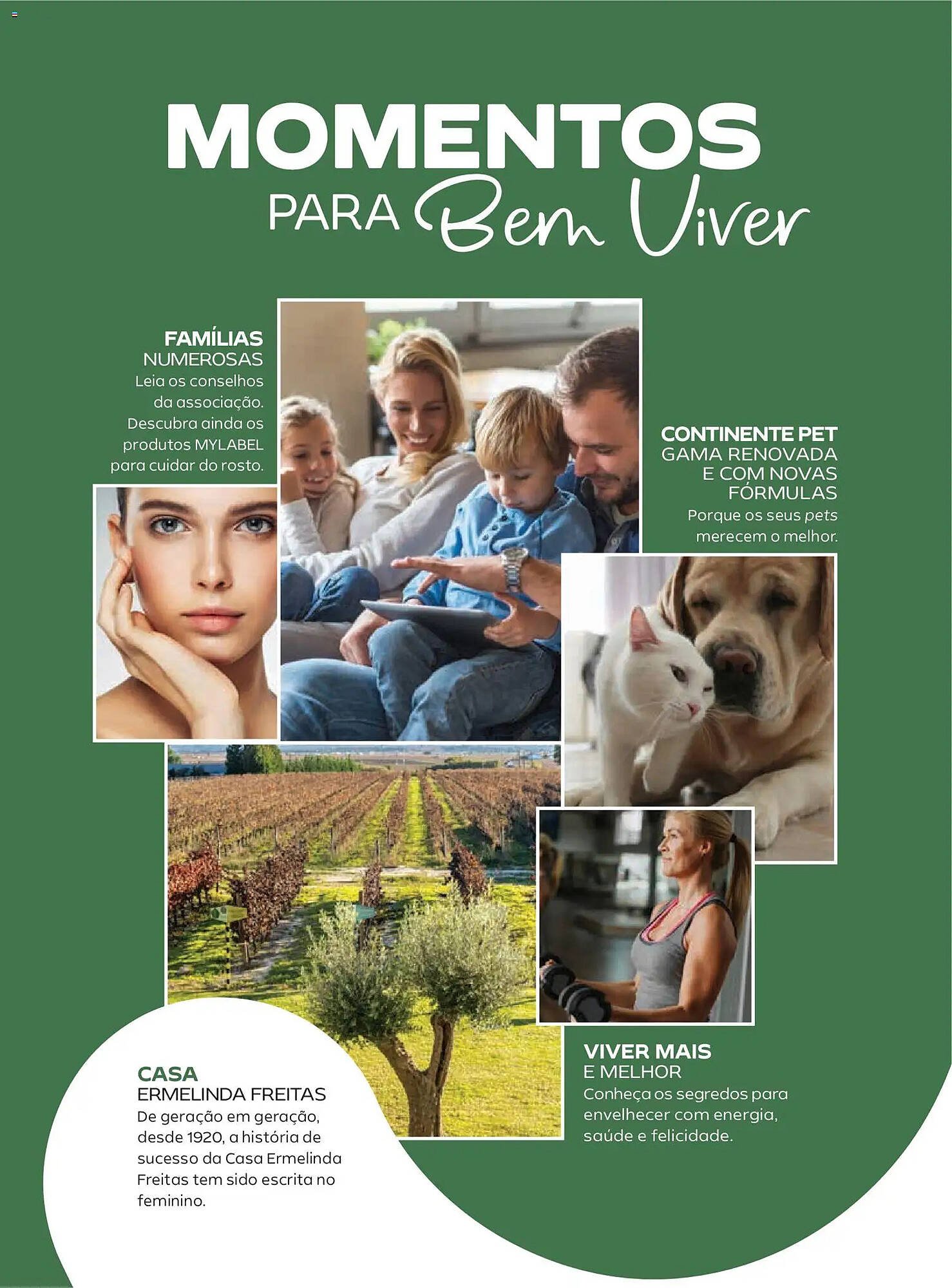 Folheto Continente (2026-01-06 - 2026-04-01) | 28