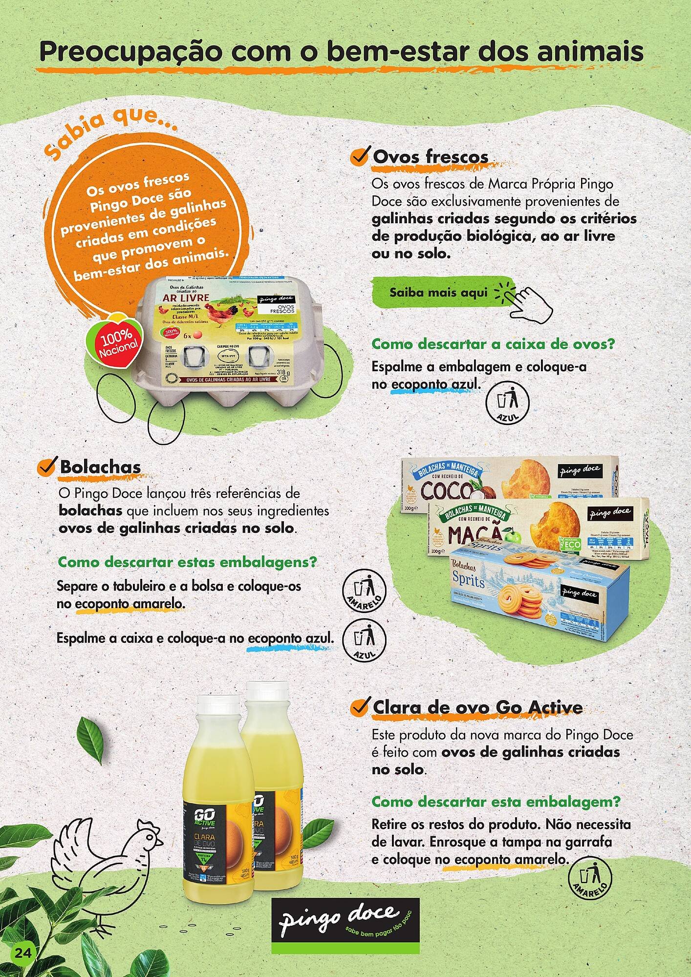 Folheto Pingo Doce (2025-10-19 - 2026-12-26)