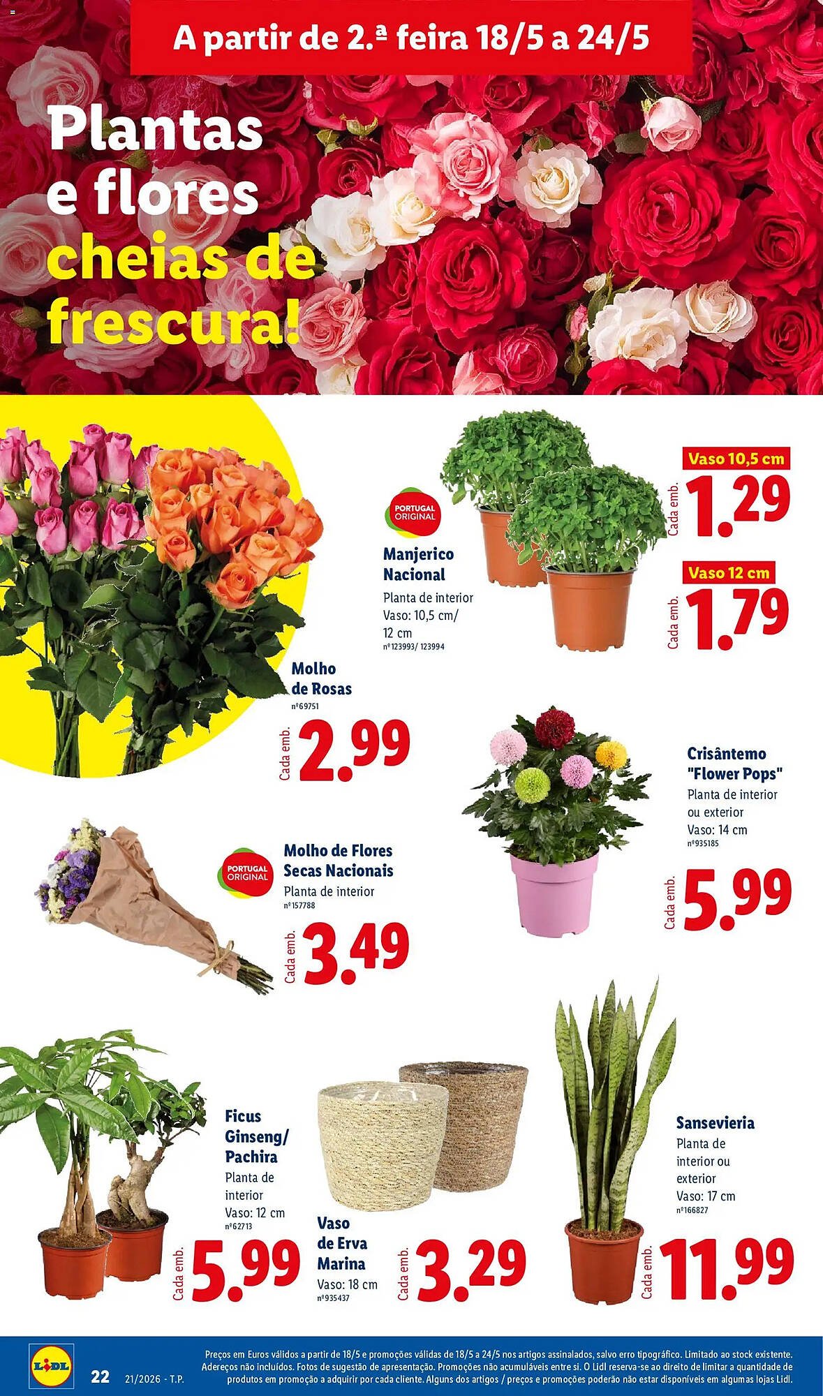 Folheto Lidl (2026-05-18 - 2026-05-24) | 22