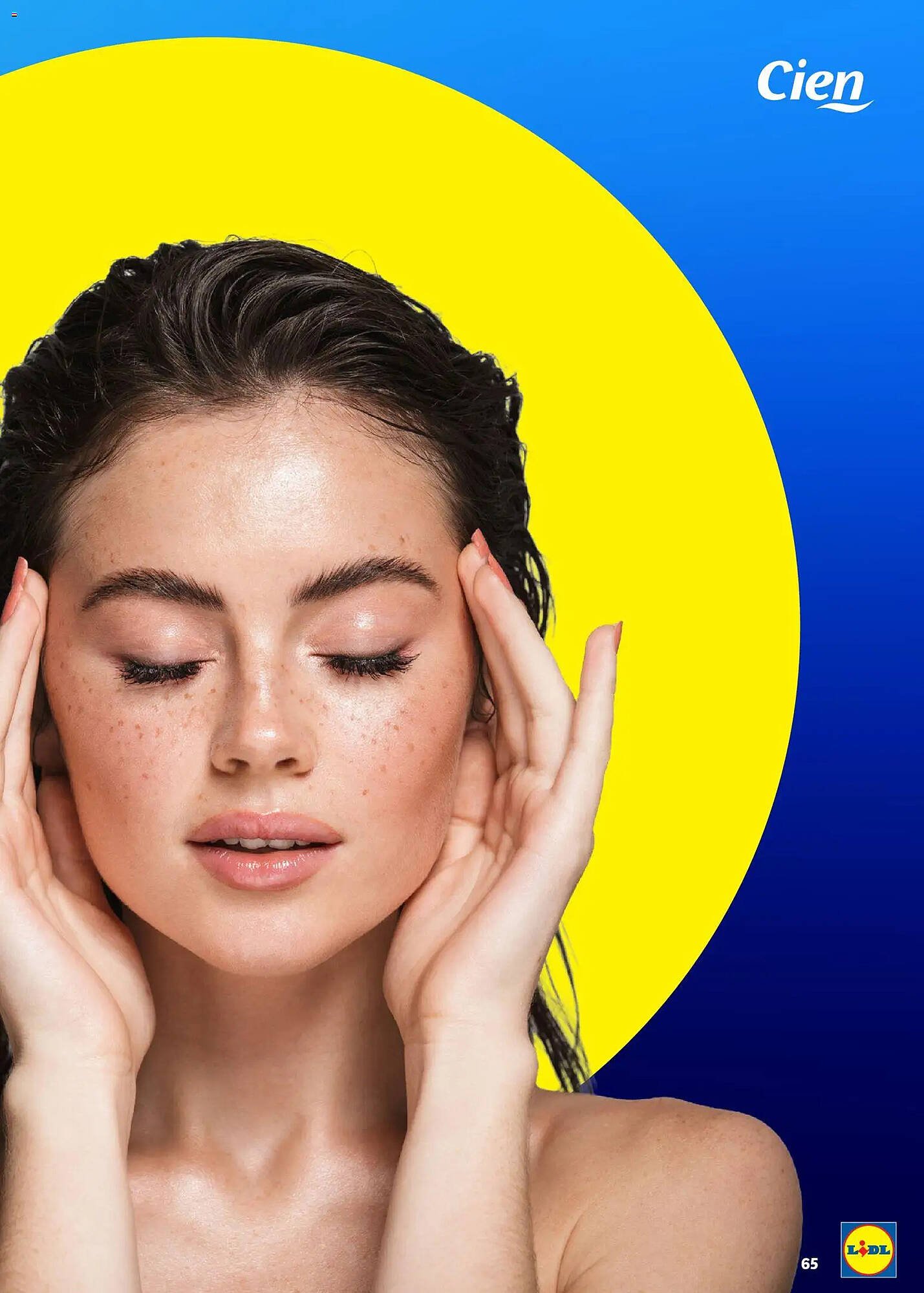 Folheto Lidl (2026-03-16 - 2027-01-01) | 65