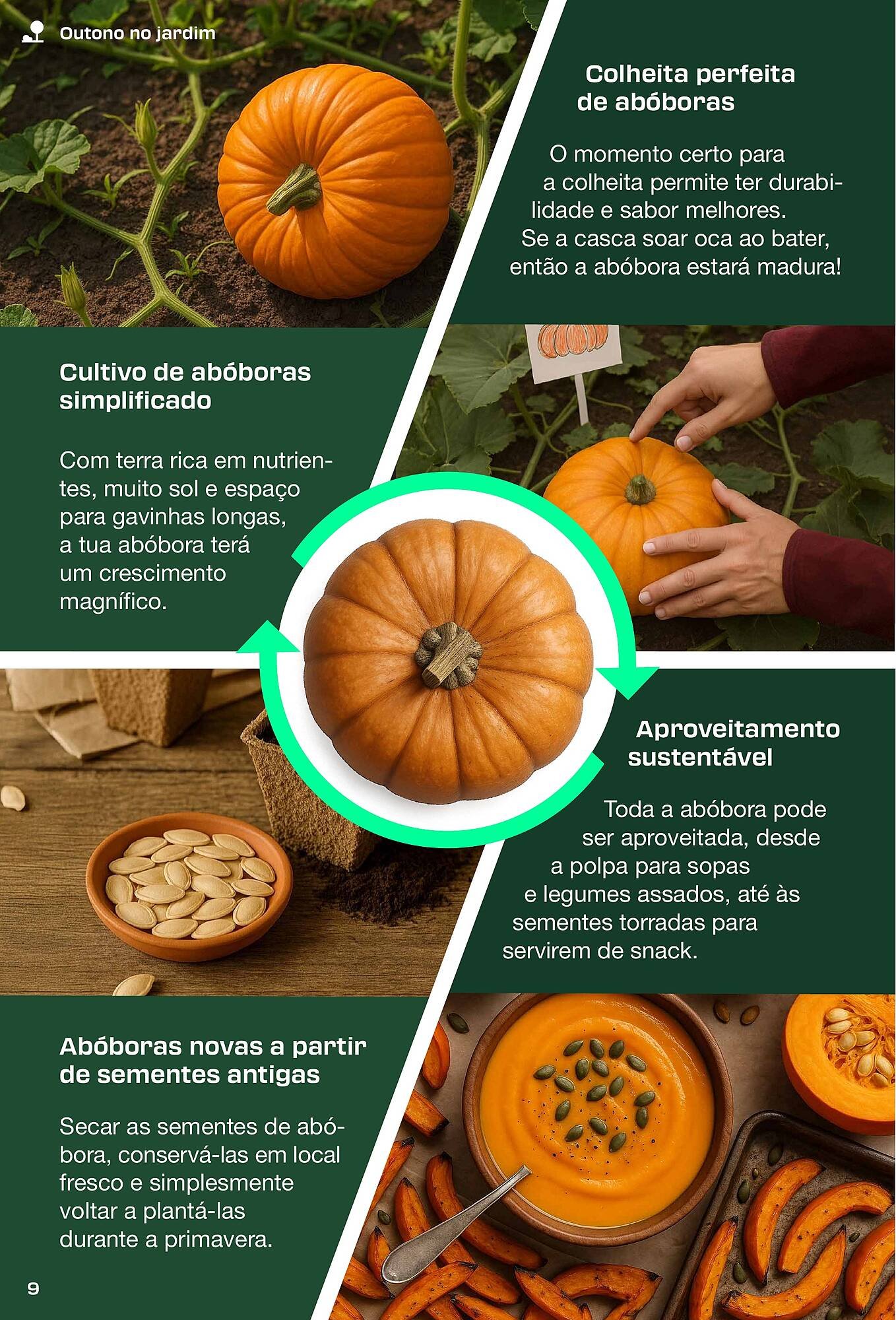 Folheto Lidl (2025-09-04 - 2025-11-29) | 9