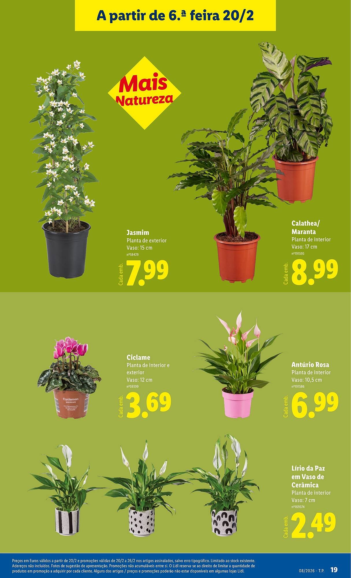 Folheto Lidl (2026-02-16 - 2026-02-22) | 19