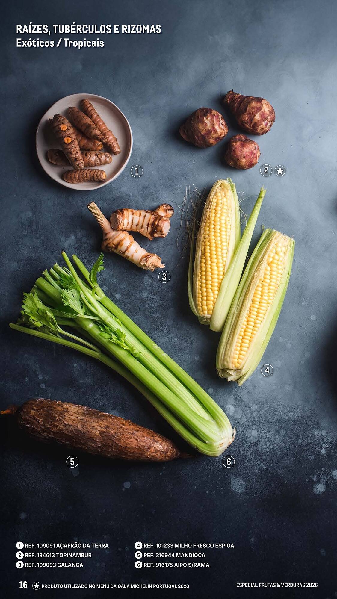 Catálogo Makro (2026-03-06 - 2026-04-25) | 16