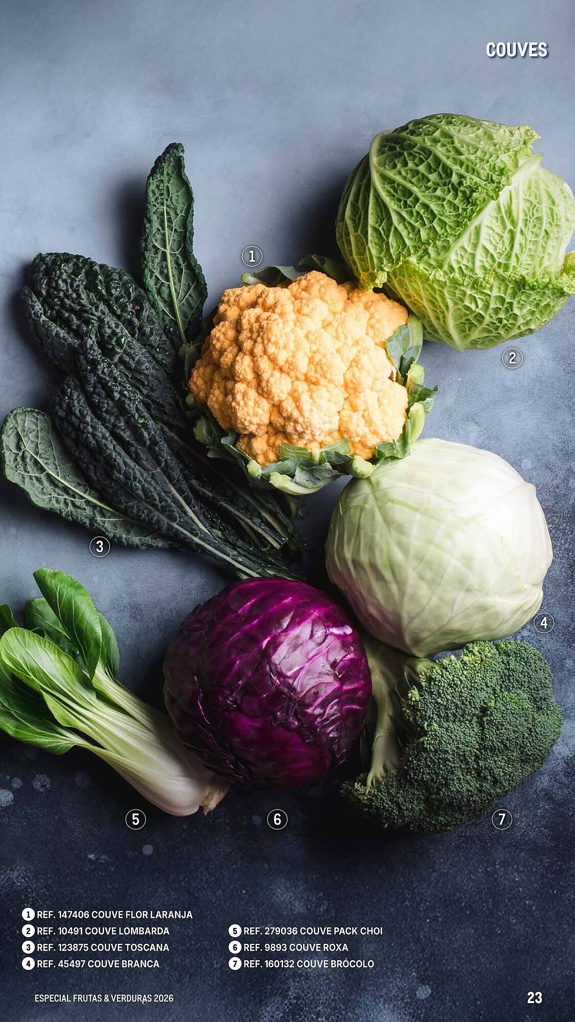 Catálogo Makro (2026-03-06 - 2026-04-25) | 23