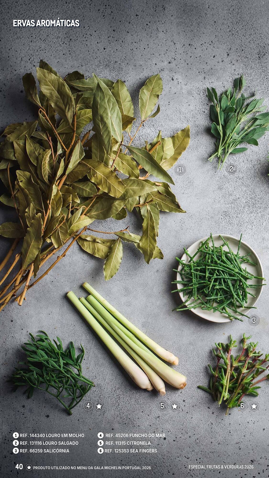 Catálogo Makro (2026-03-06 - 2026-04-25) | 40