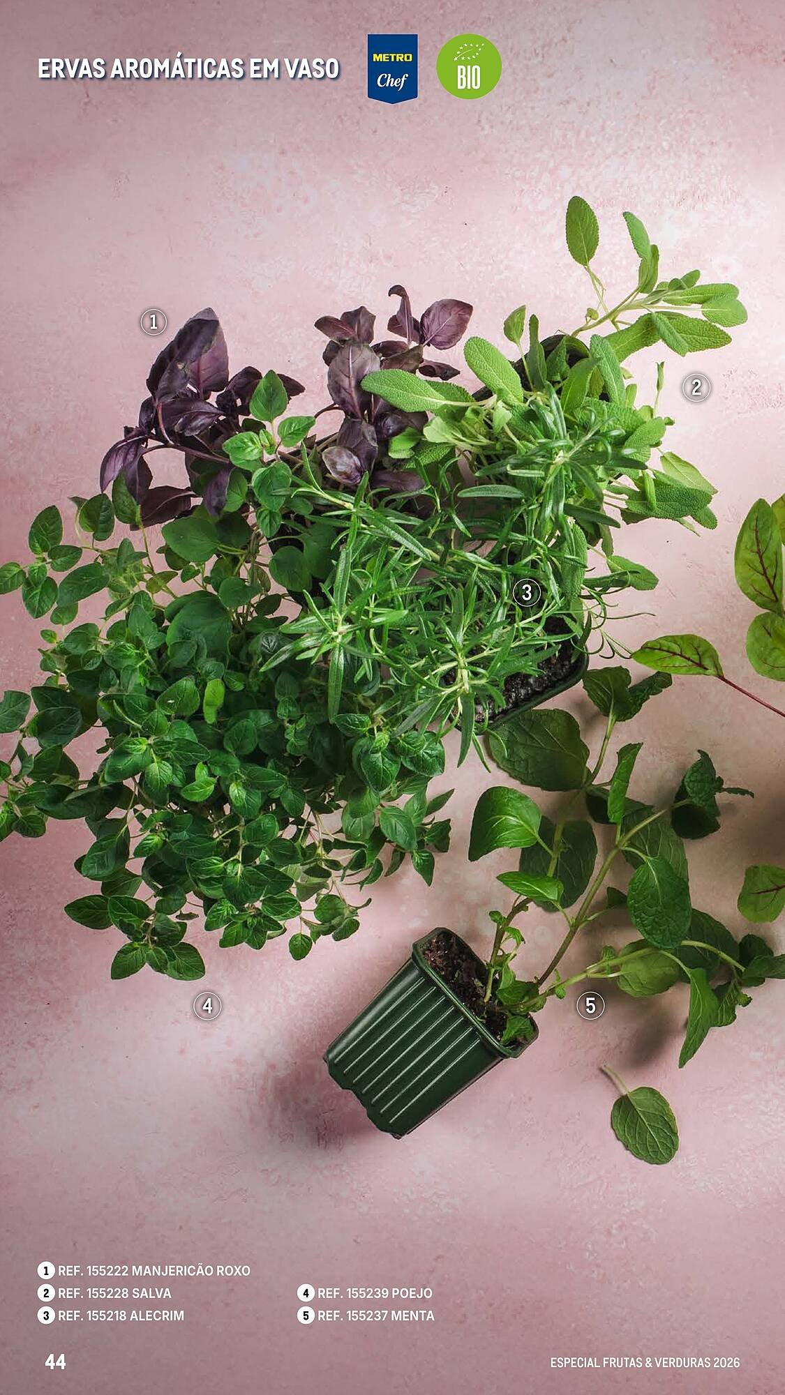 Catálogo Makro (2026-03-06 - 2026-04-25) | 44