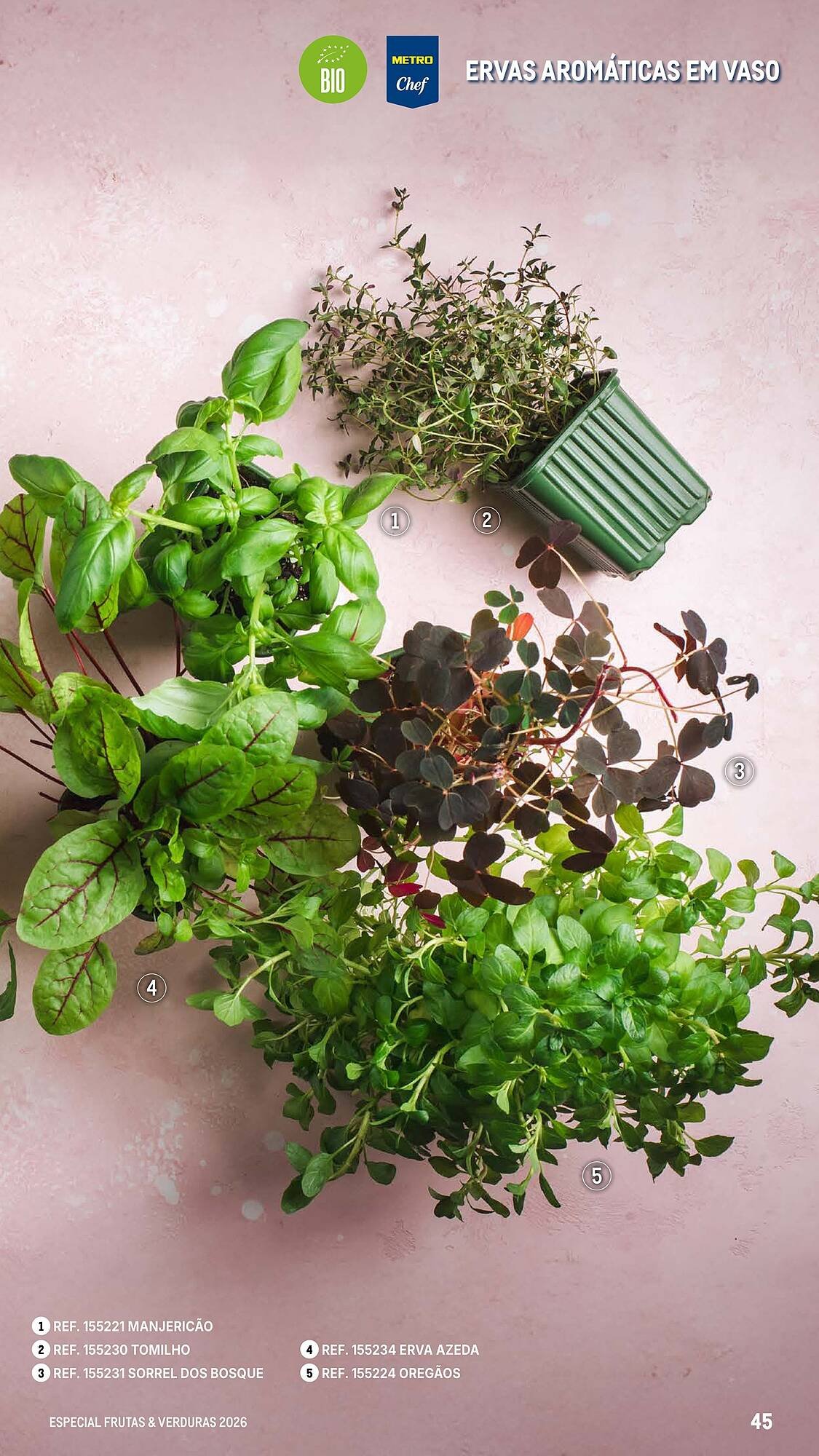 Catálogo Makro (2026-03-06 - 2026-04-25) | 45