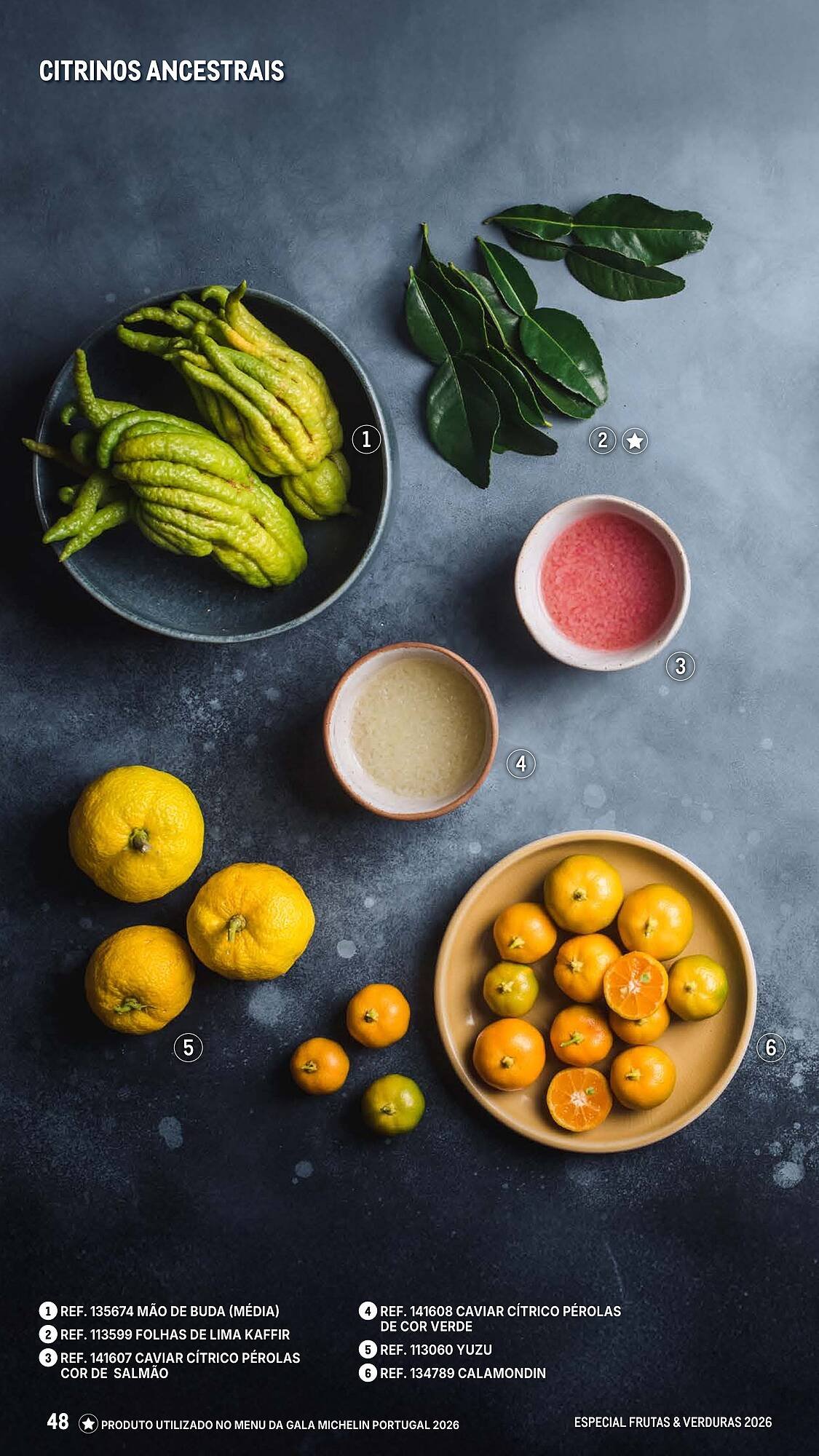 Catálogo Makro (2026-03-06 - 2026-04-25) | 48