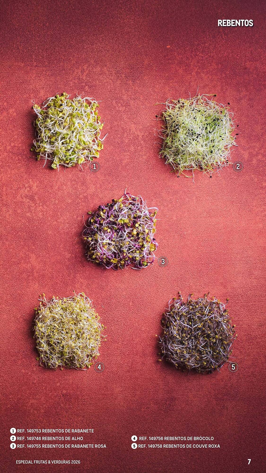 Catálogo Makro (2026-03-06 - 2026-04-25) | 7