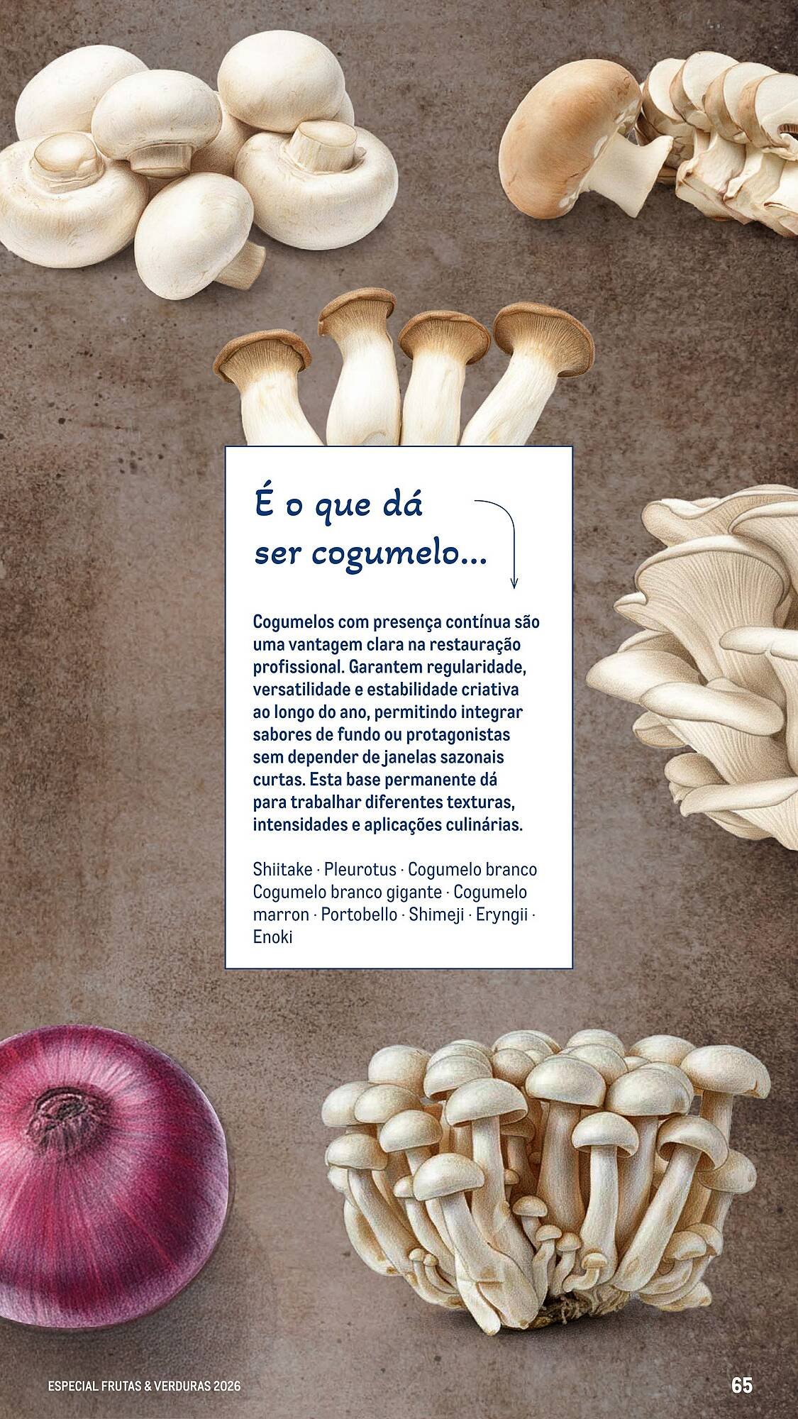 Catálogo Makro (2026-03-06 - 2026-04-25) | 65