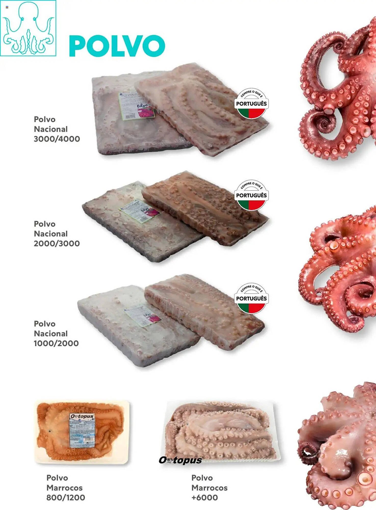 Folheto Recheio (2025-07-14 - 2026-01-01) | 21