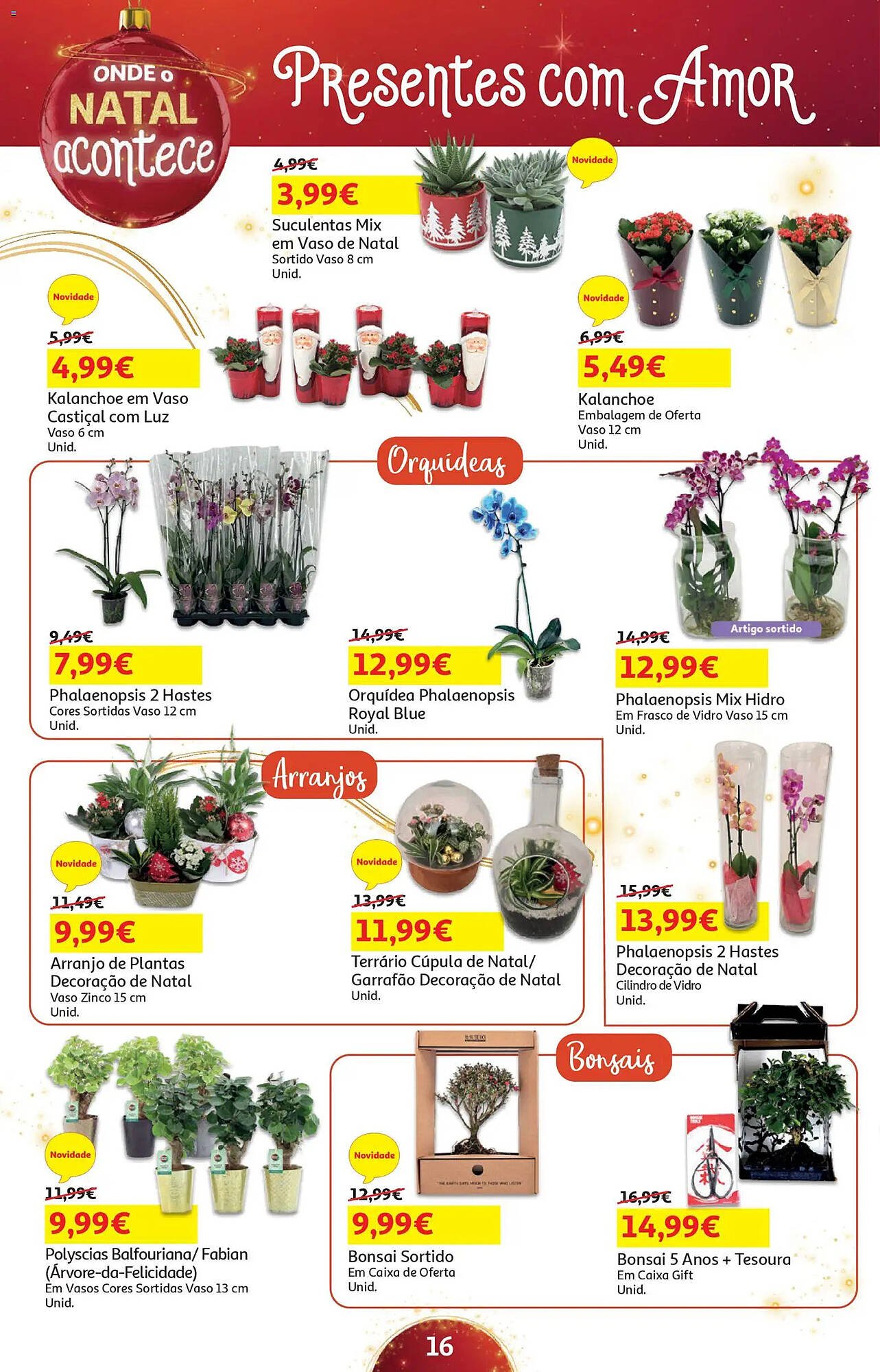 Folheto Auchan (2025-12-05 - 2025-12-25) | 16