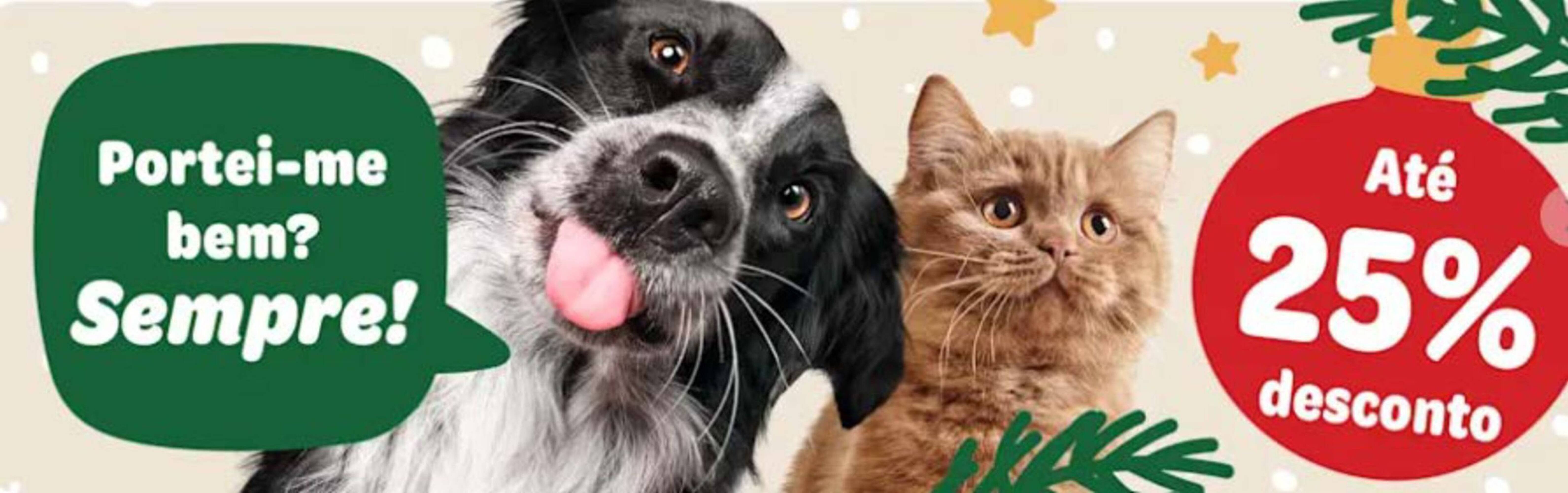 Folheto Zooplus (2025-12-09 - 2025-12-15) | 1